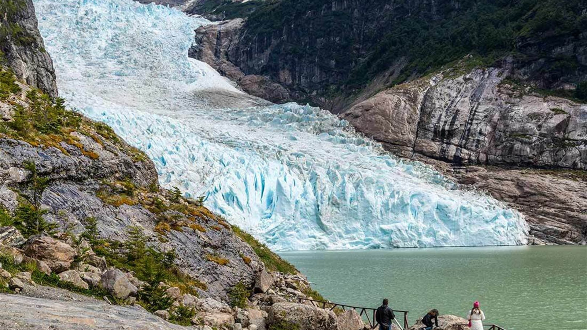 Premium Patagonia			