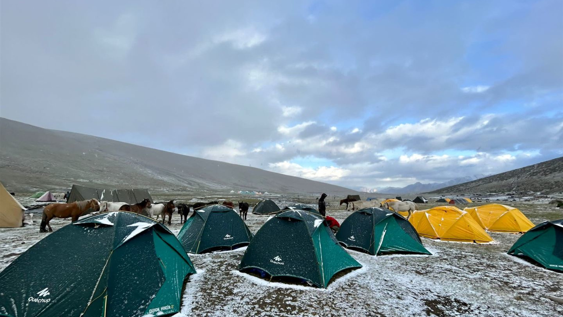 Peaks of Ladakh Trek