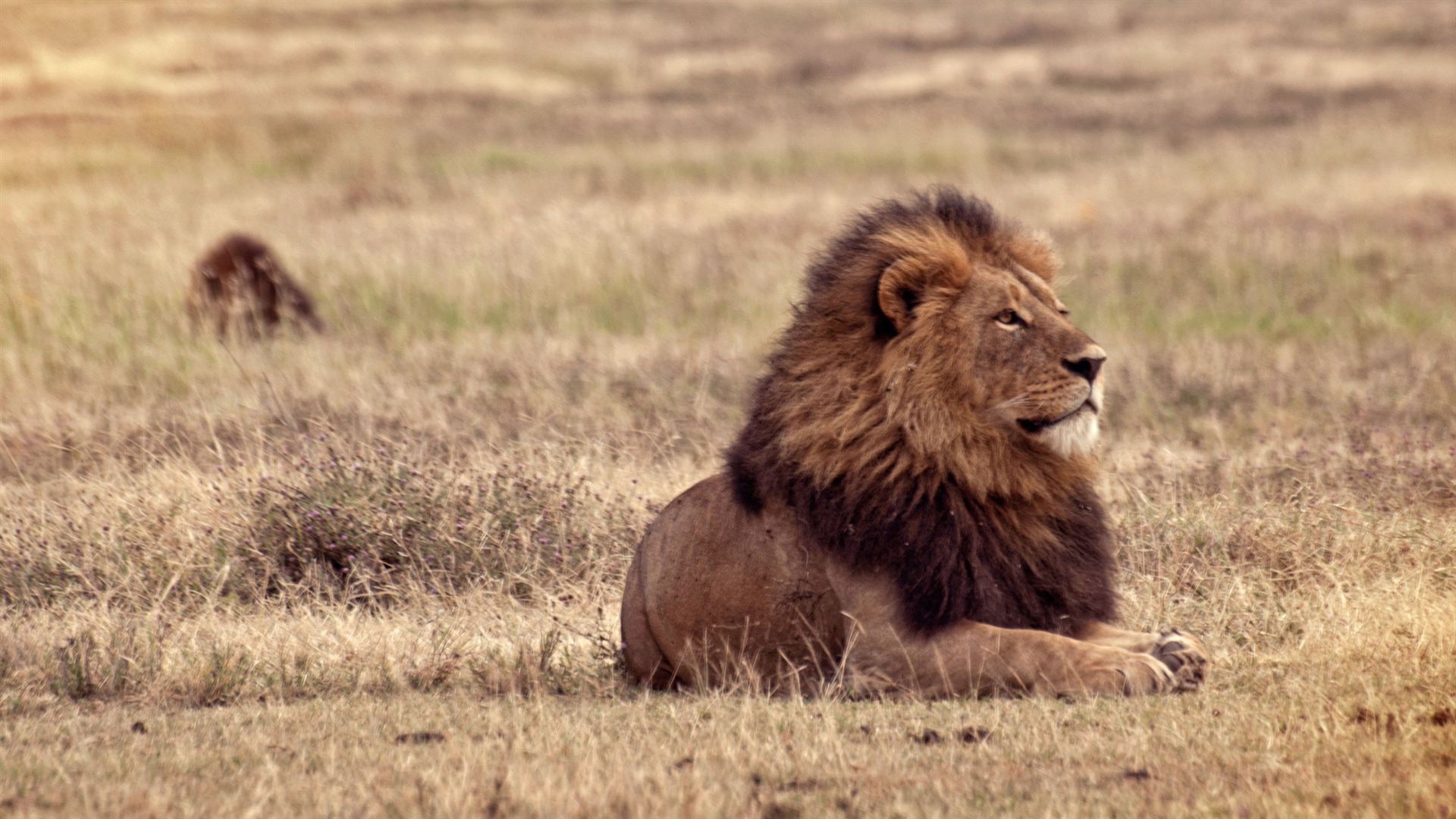 Simbabwe nach Kenia Überland-Safari & Teilnahme Camping