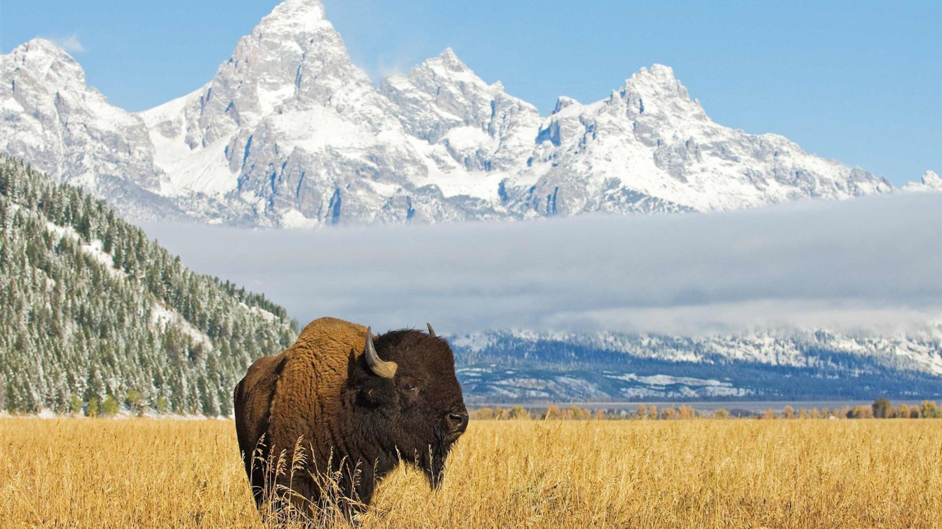 National Park Wonders