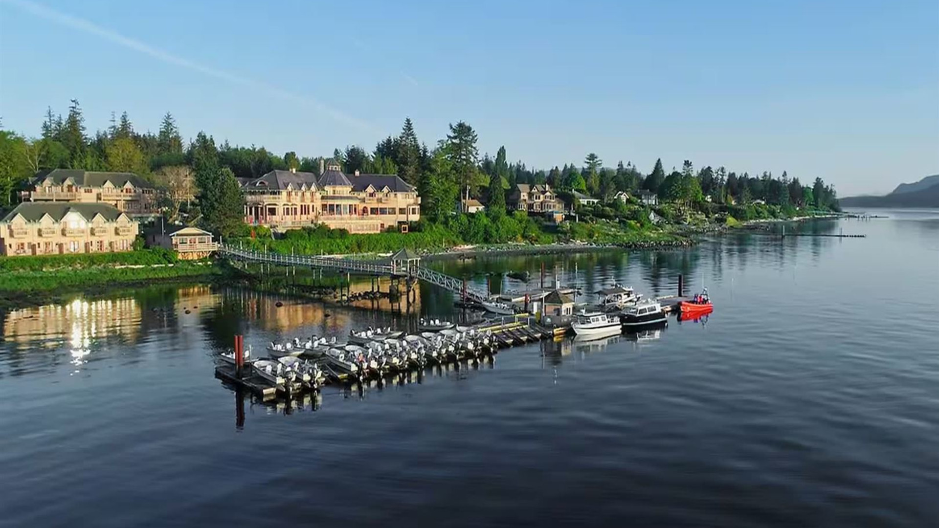 Whales & Bears of British Columbia