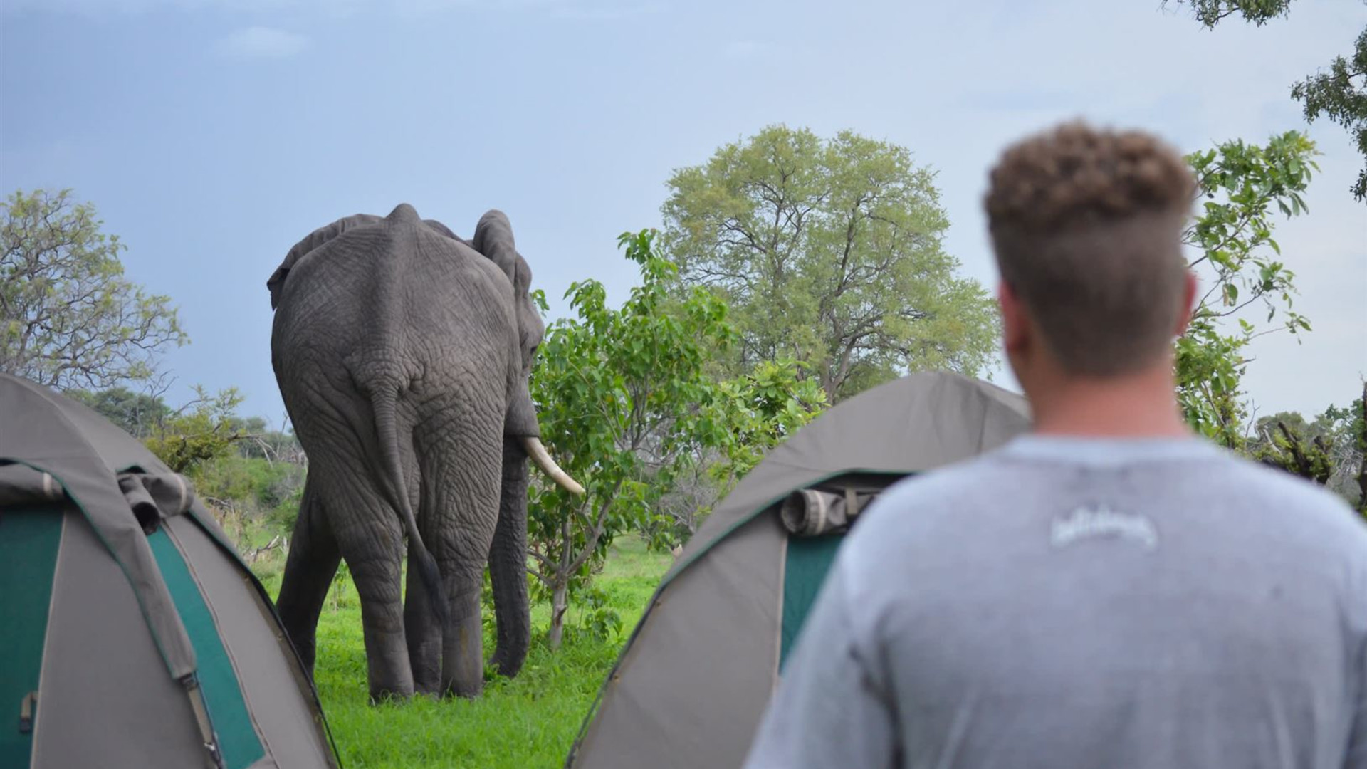 Wildlife & Wilderness of Botswana