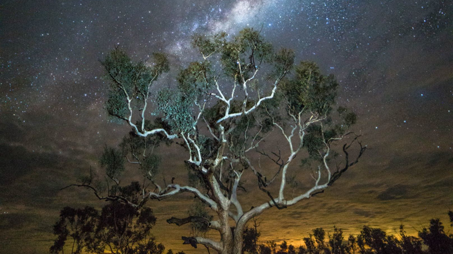 Karijini Explorer