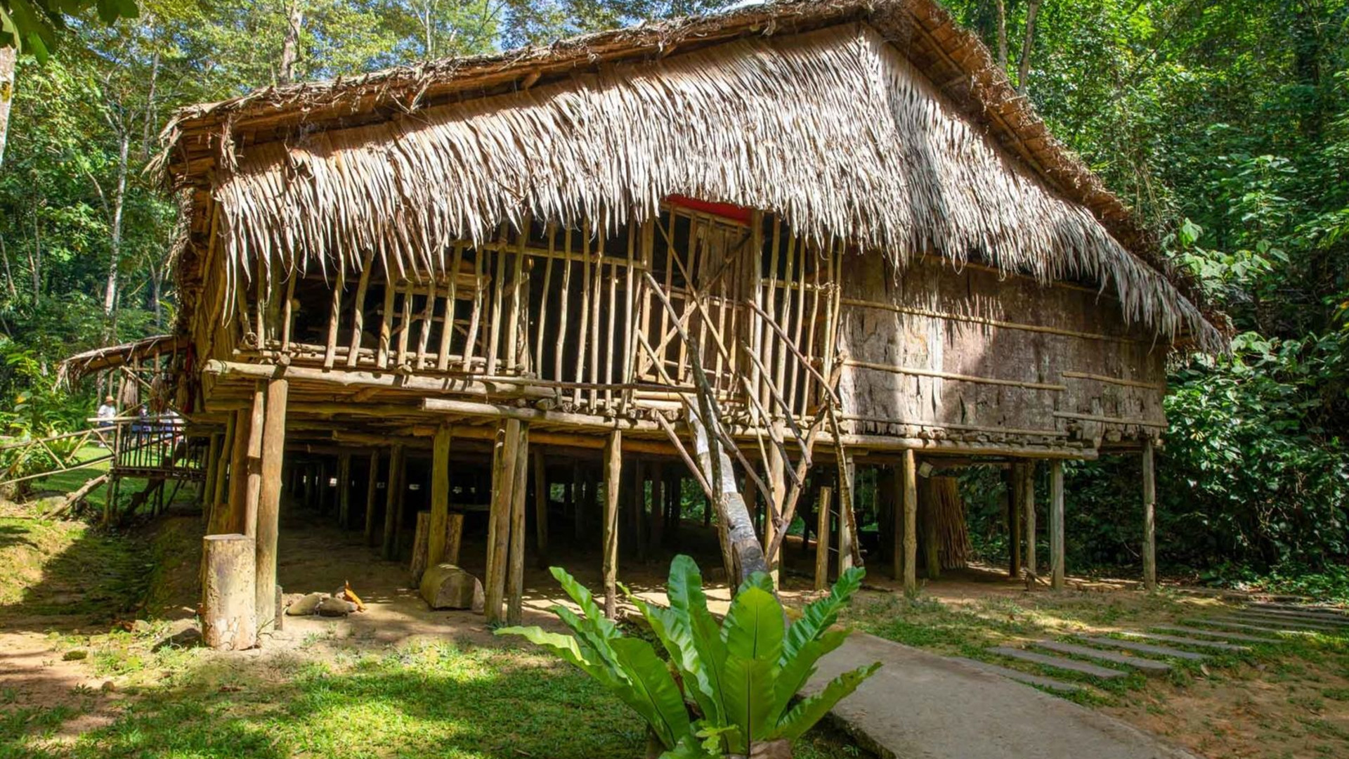 Borneo Family Holiday Comfort
