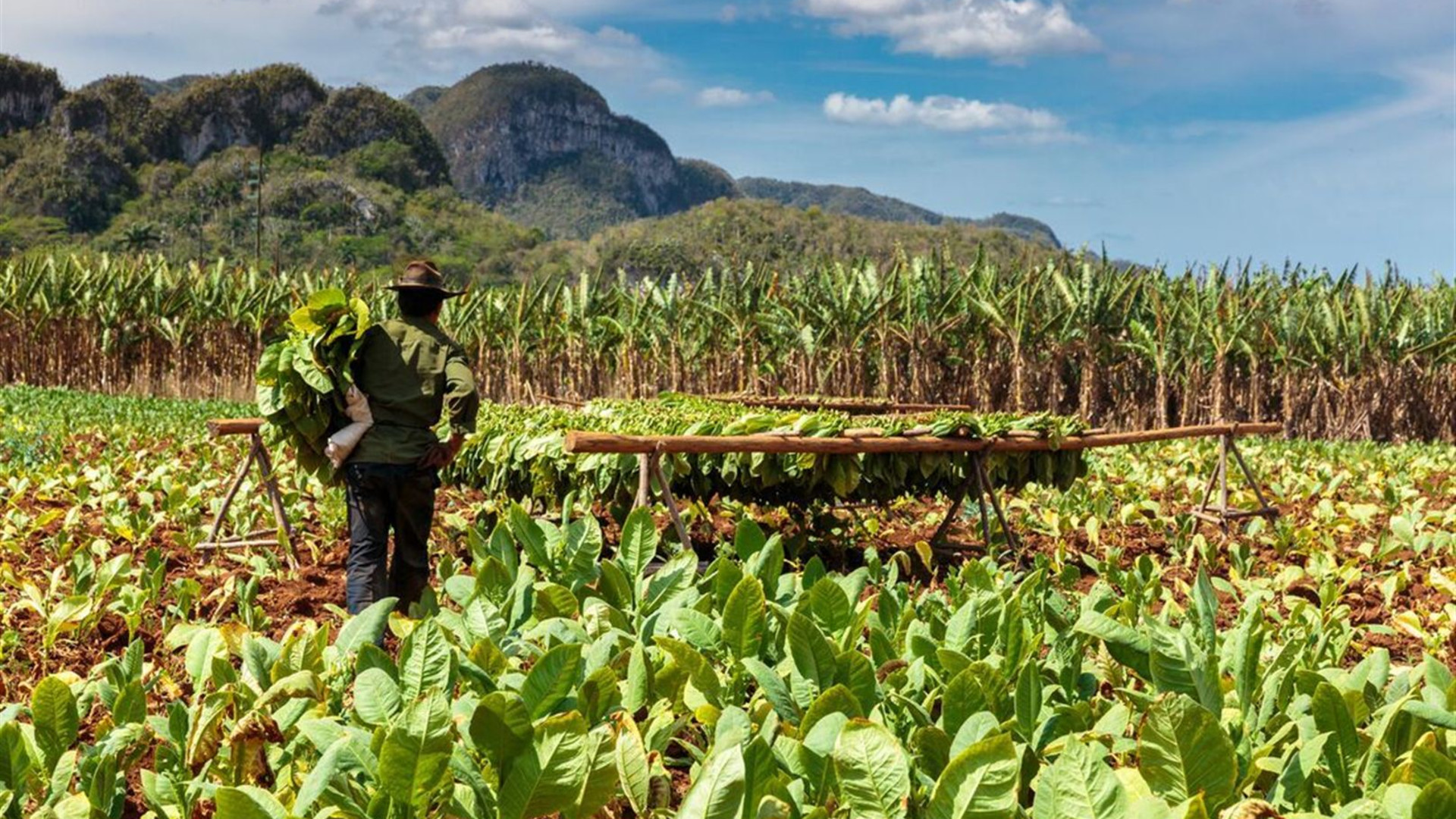 Hola Cuba