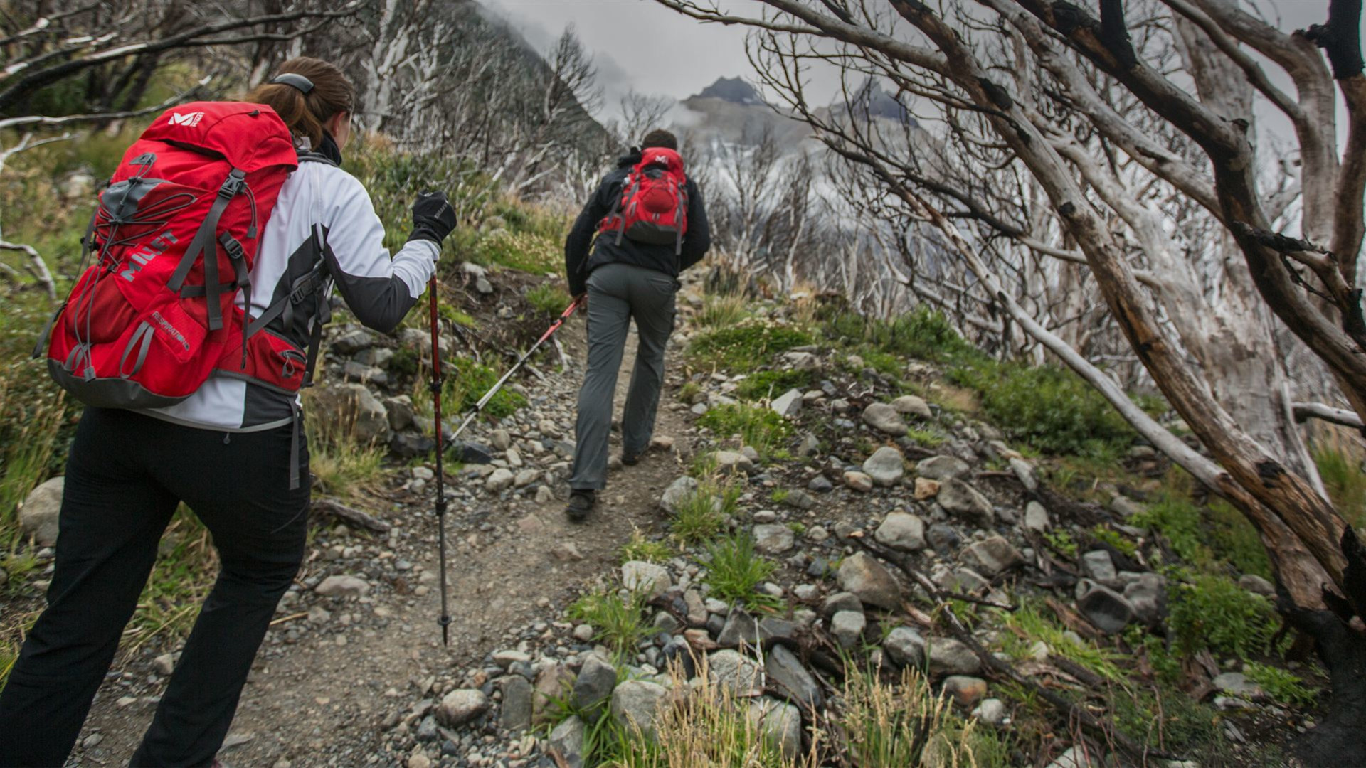 Torres del Paine - Rundwanderung