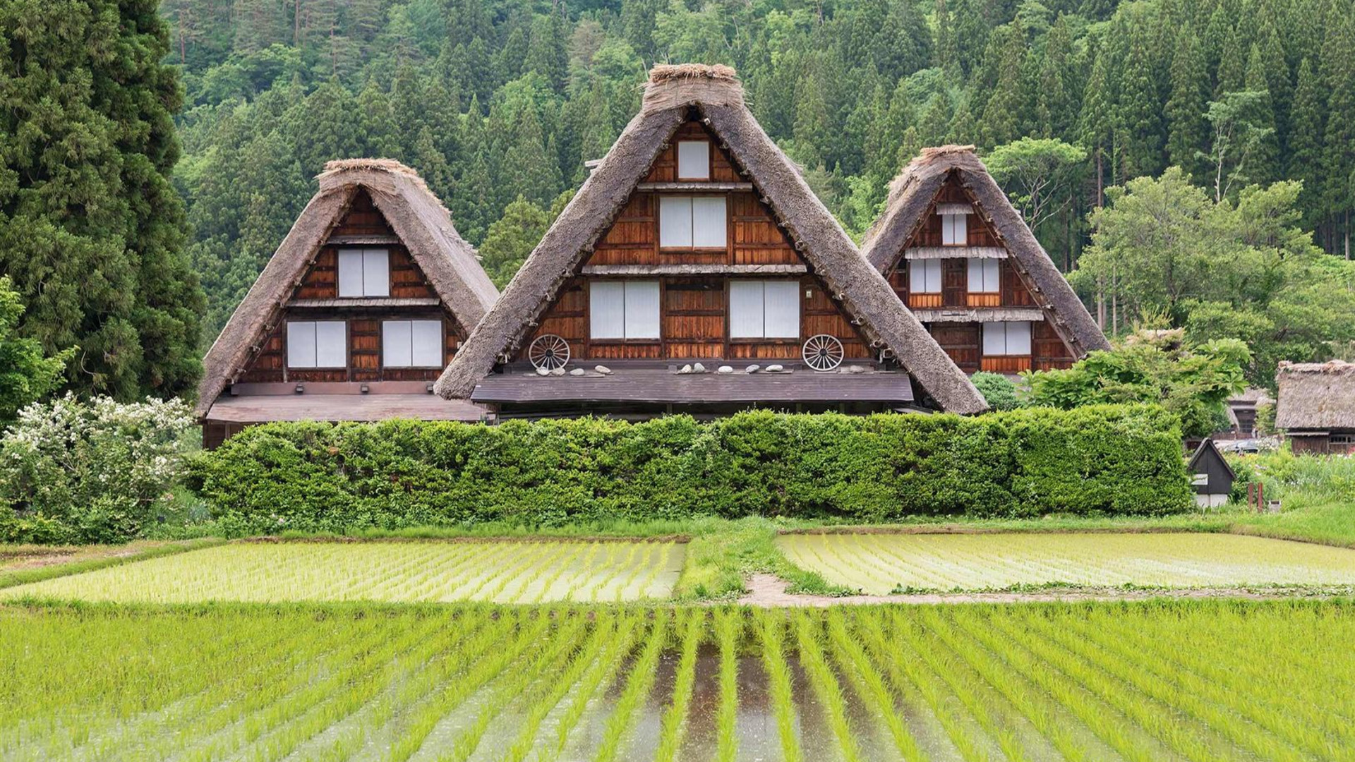 Splendours of Japan