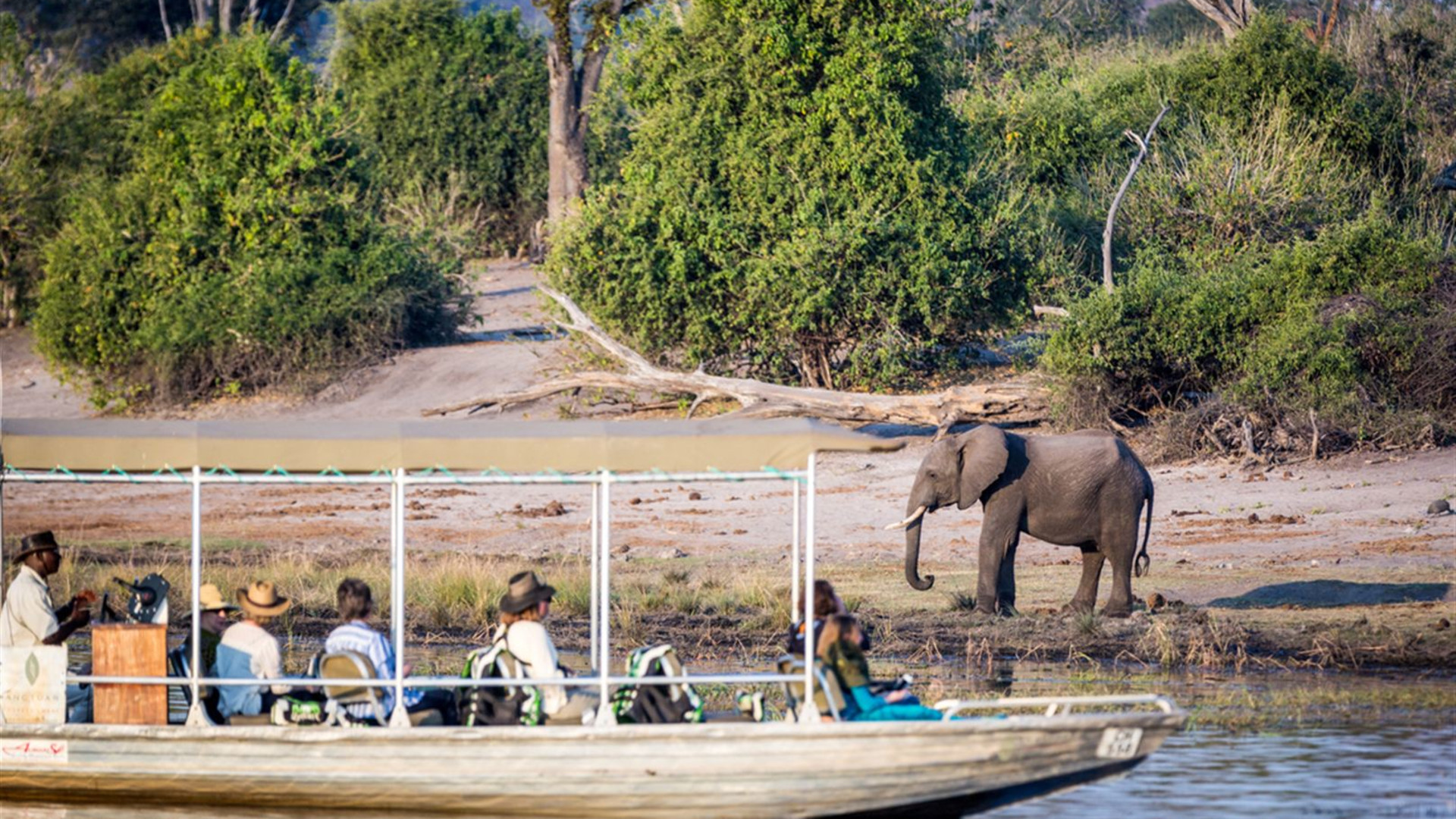 Botswana Family Safari with Teenagers