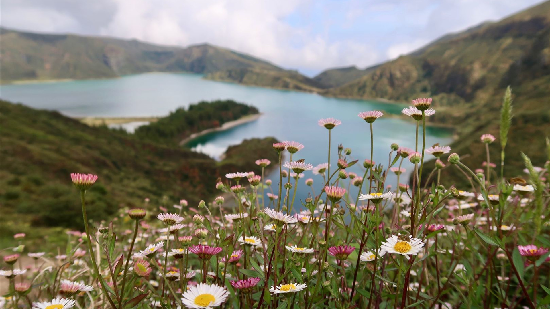 The Azores 