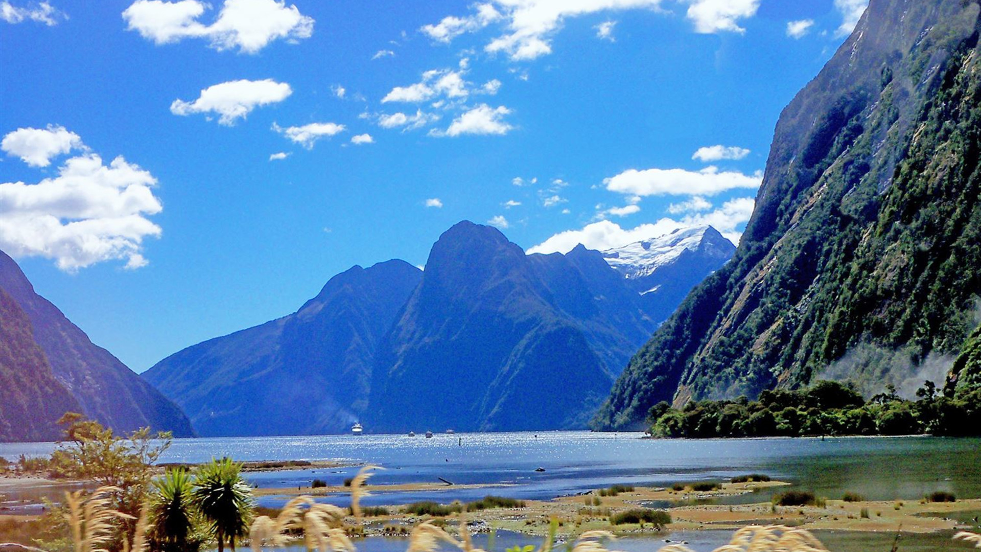 South Pacific Wonders