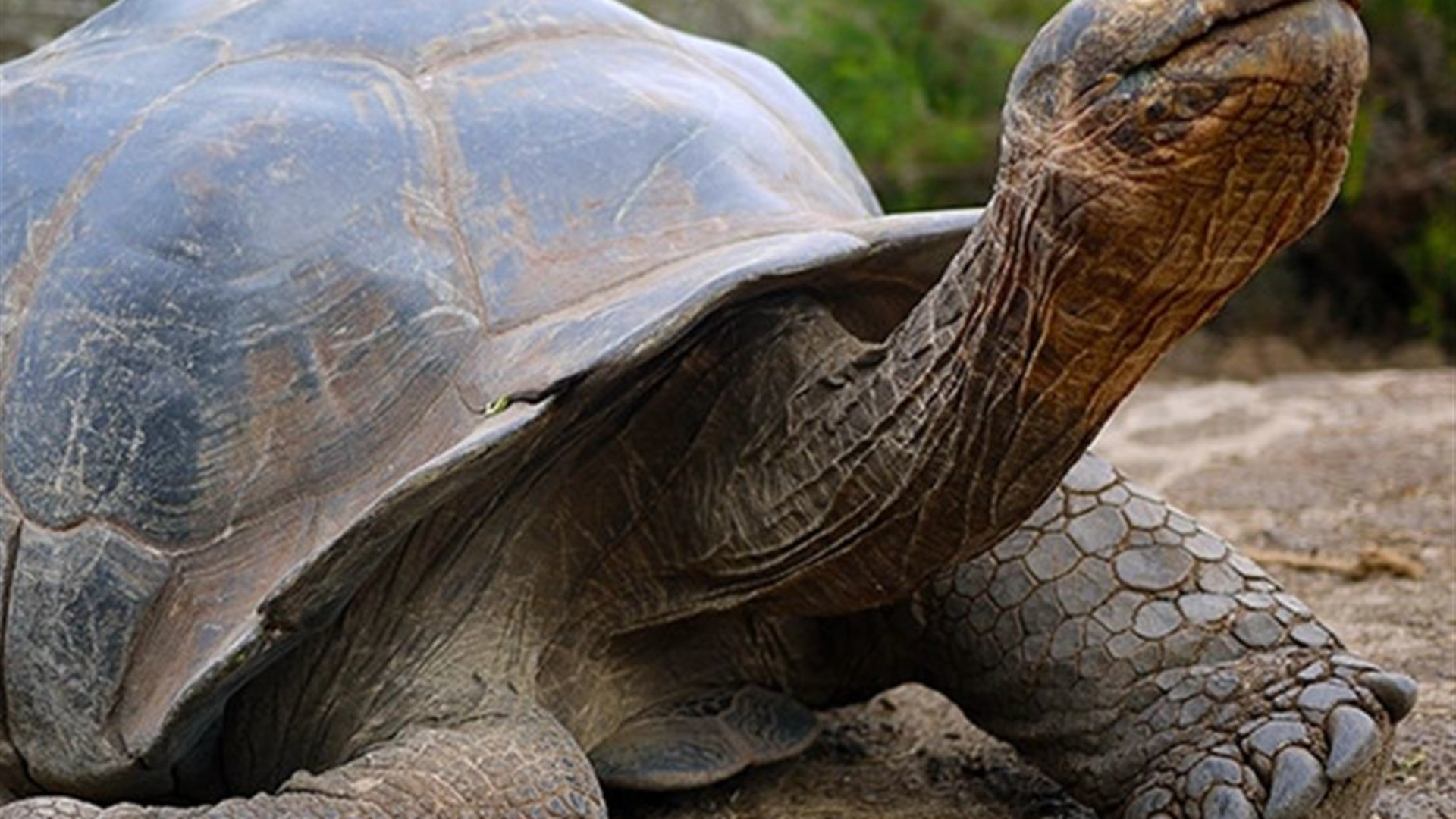 Family Land Galapagos — Multi-Activities