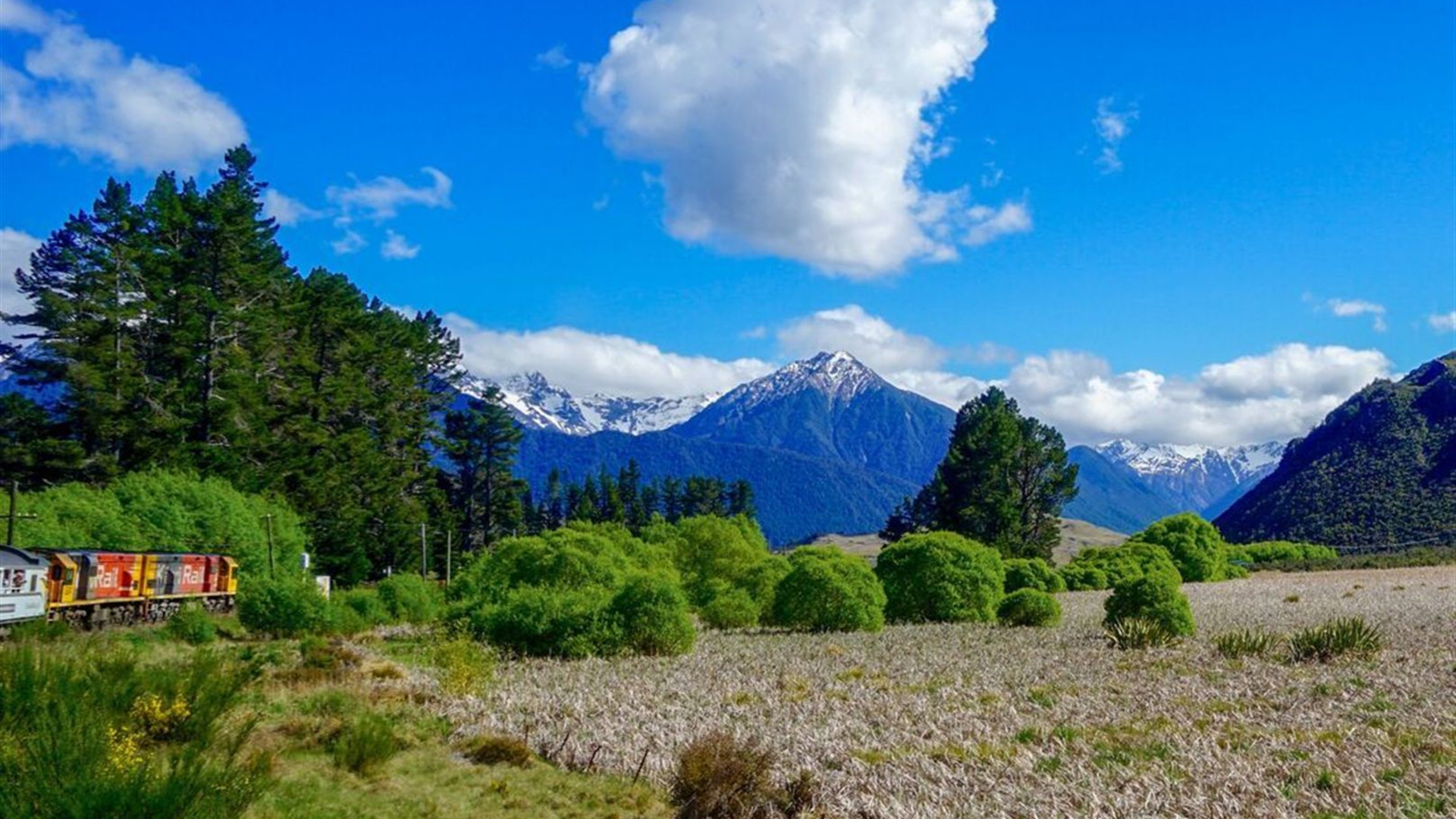 Premium New Zealand South Island