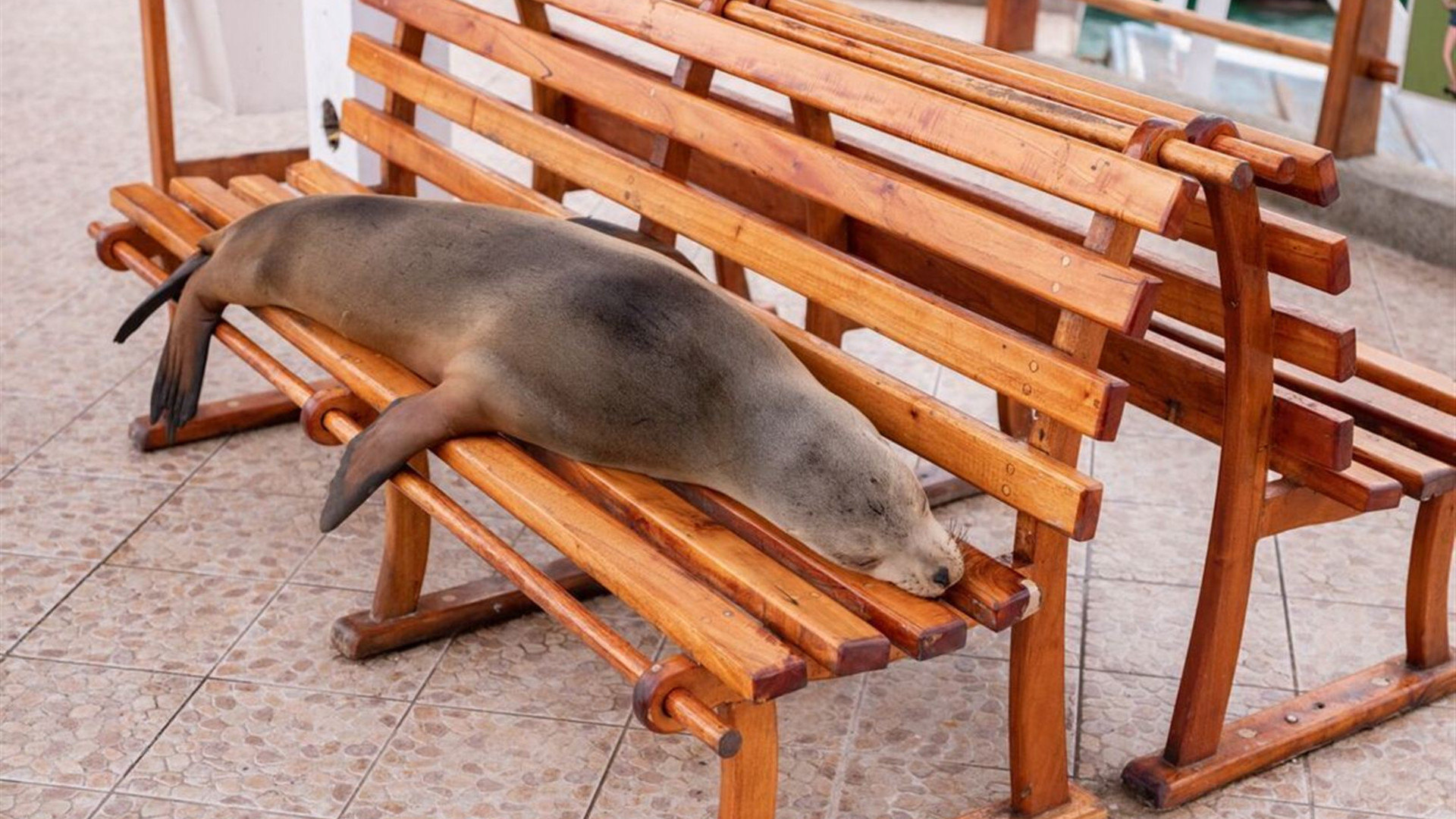 Galapagos Experience