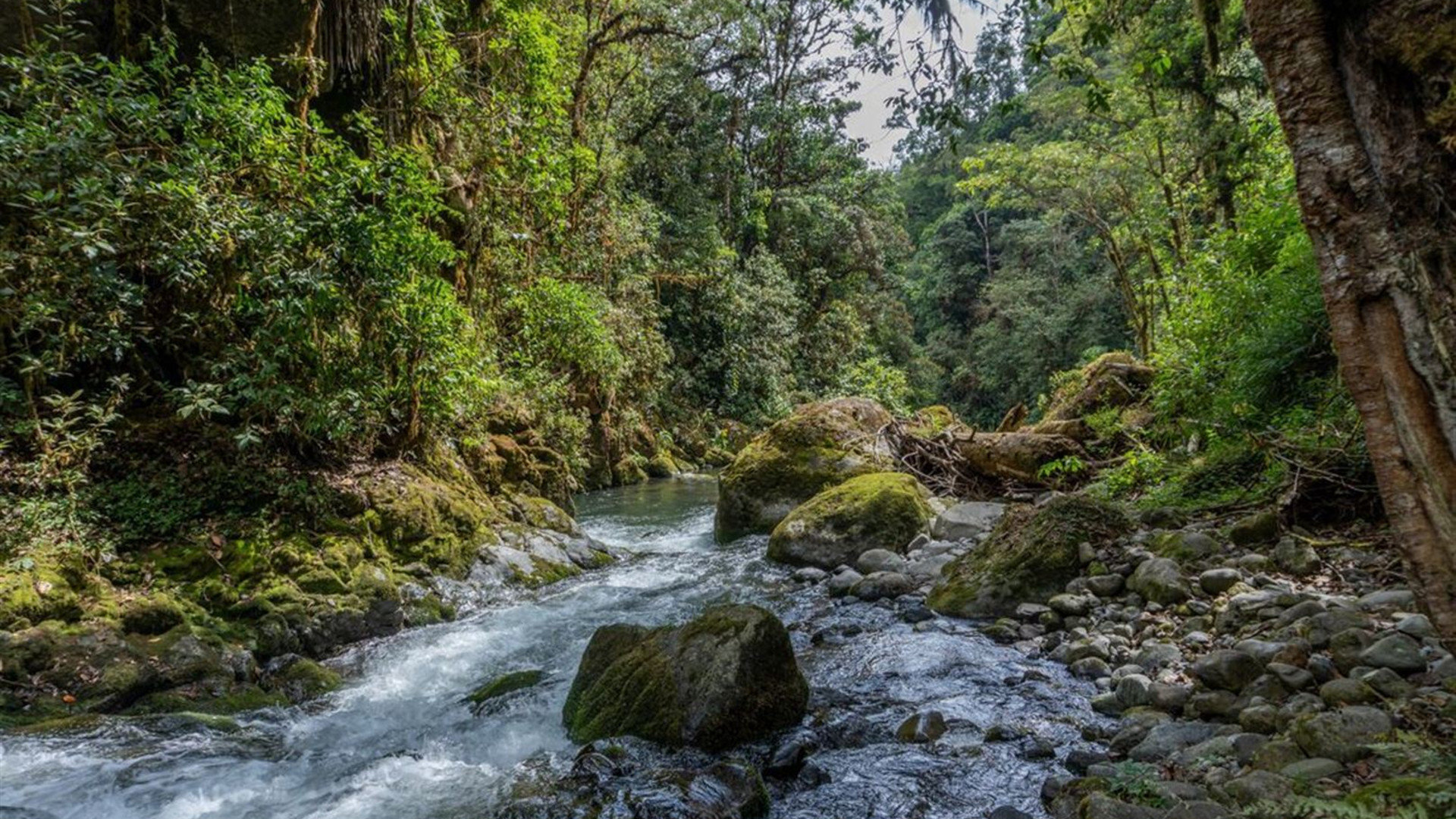Best of Costa Rica 