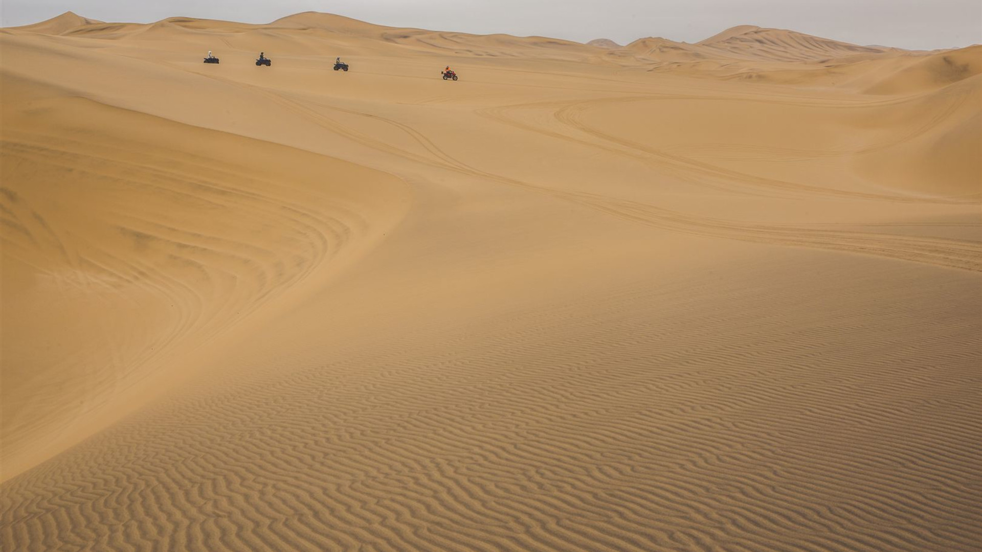 Journeys: Entdecke den Krüger-Nationalpark & Namibia