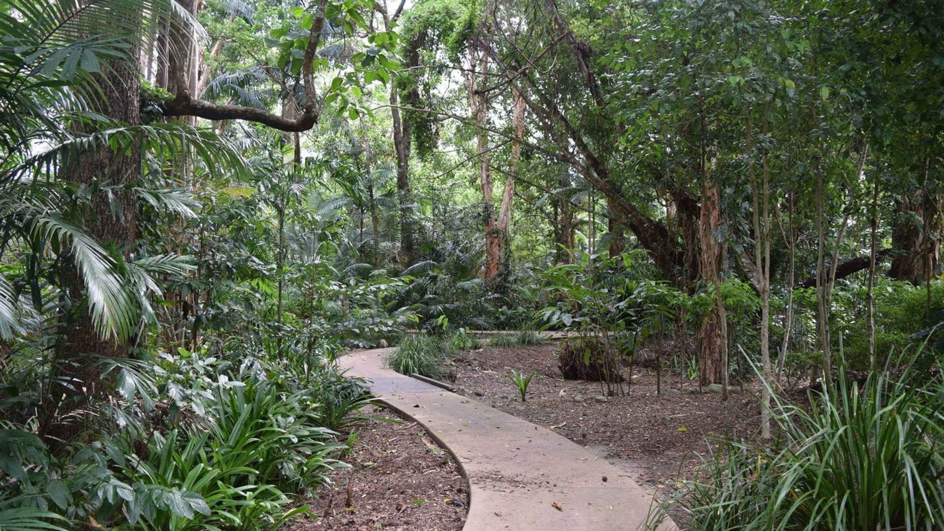 Australia and New Zealand Uncovered