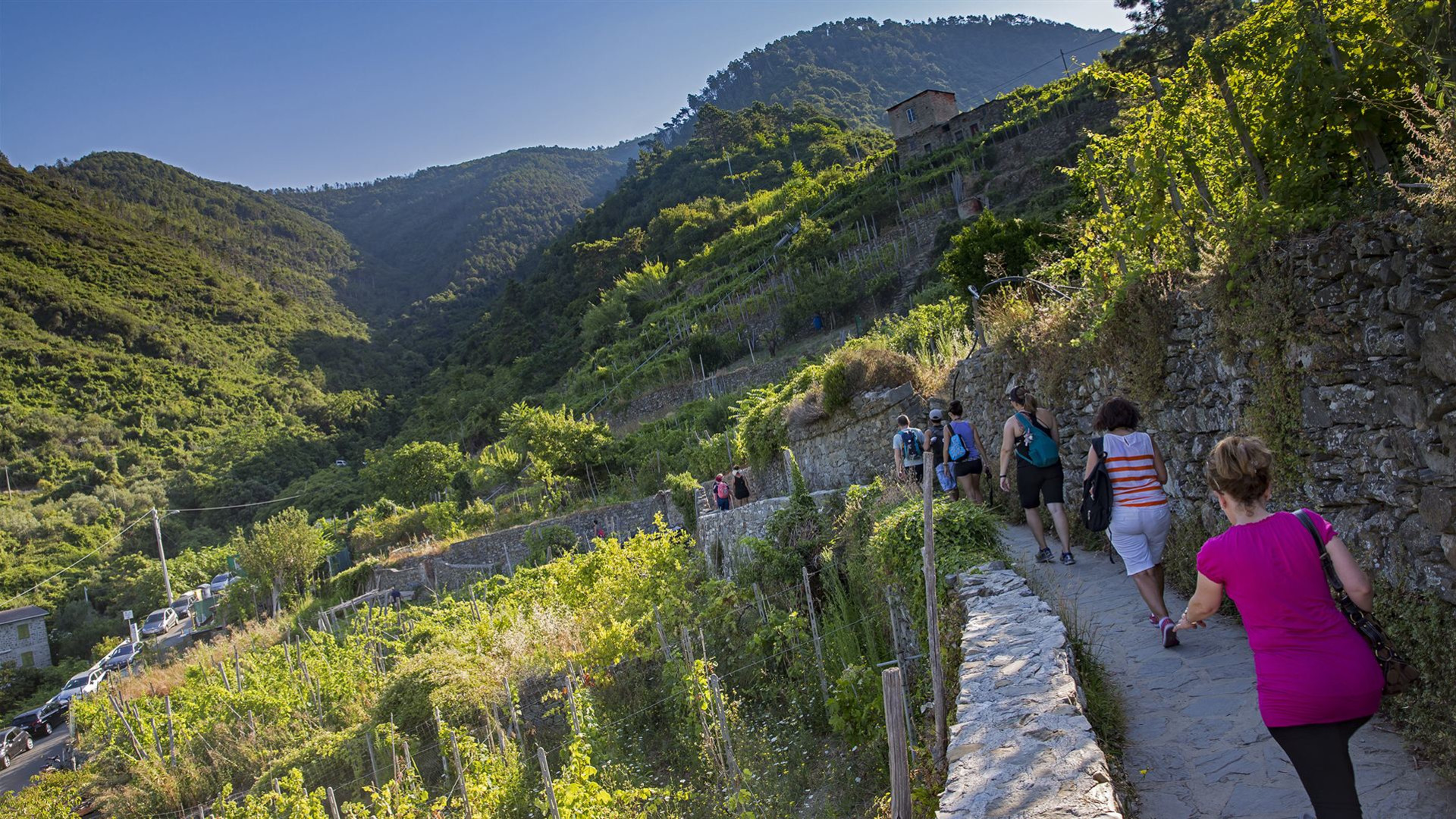 Von der Toskana zu den Cinque Terre: Weine, Dörfer und unvergessliche Landschaften