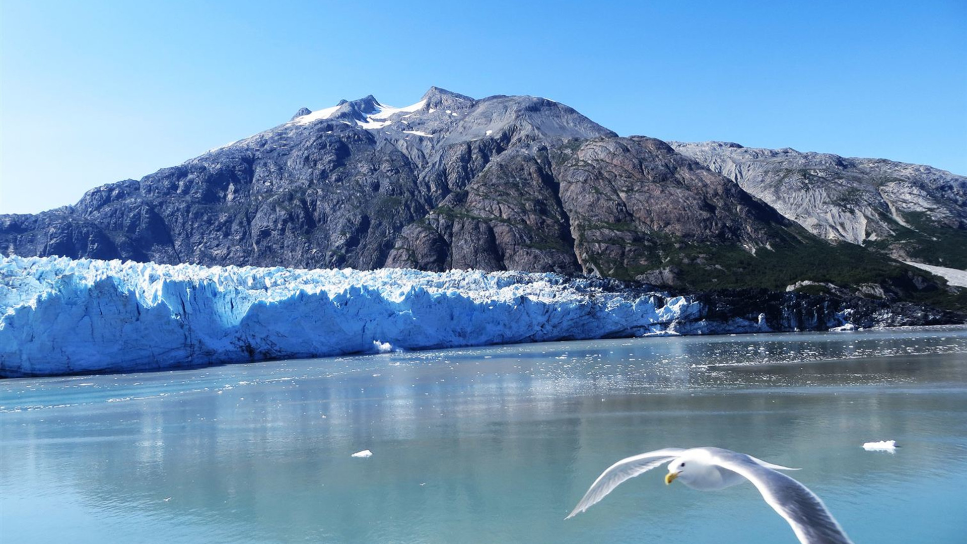 Alaska Discovery