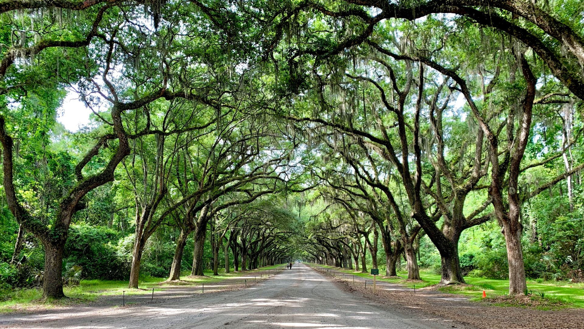 Southern Charm