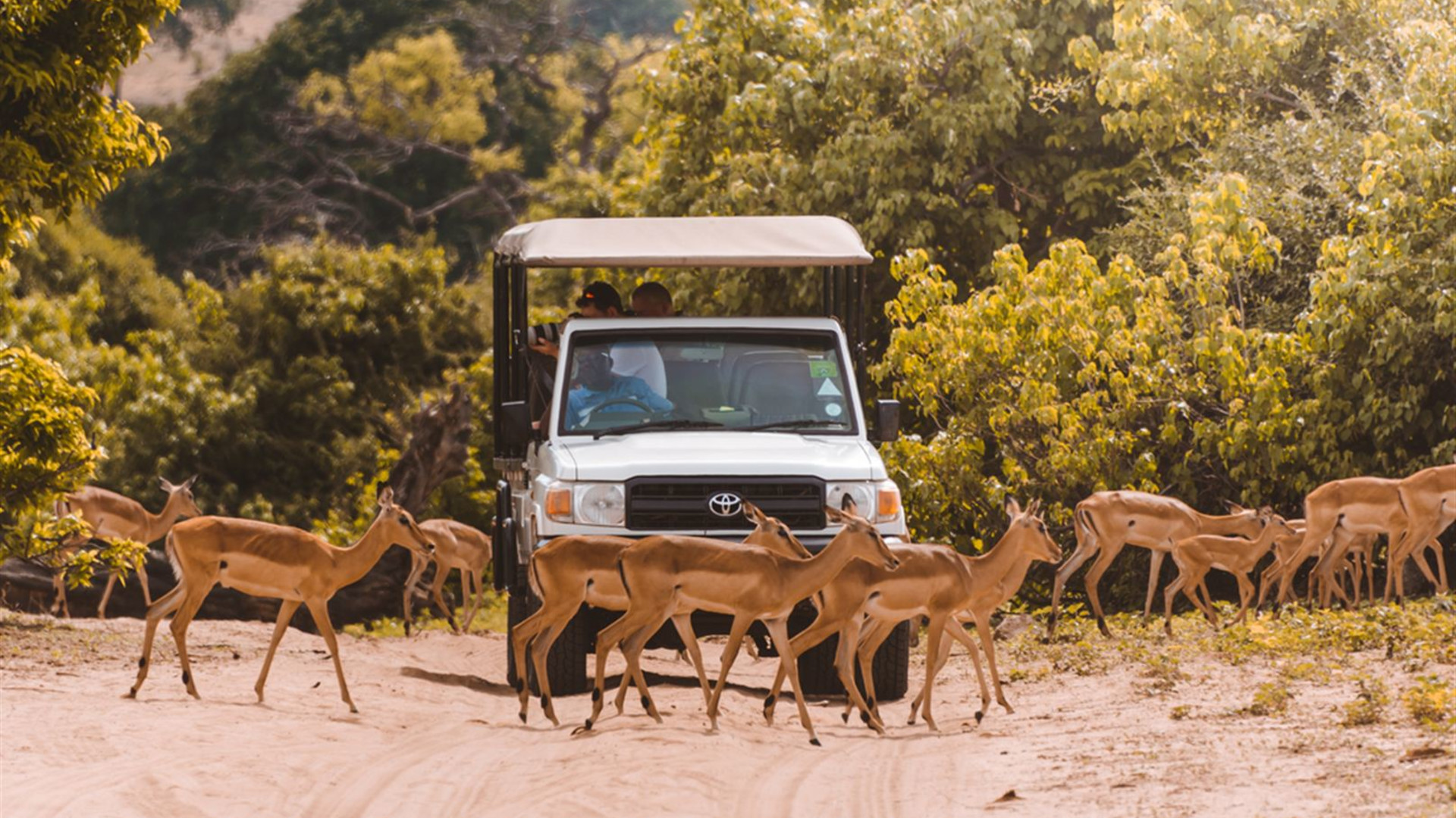 Africa Encompassed Northbound