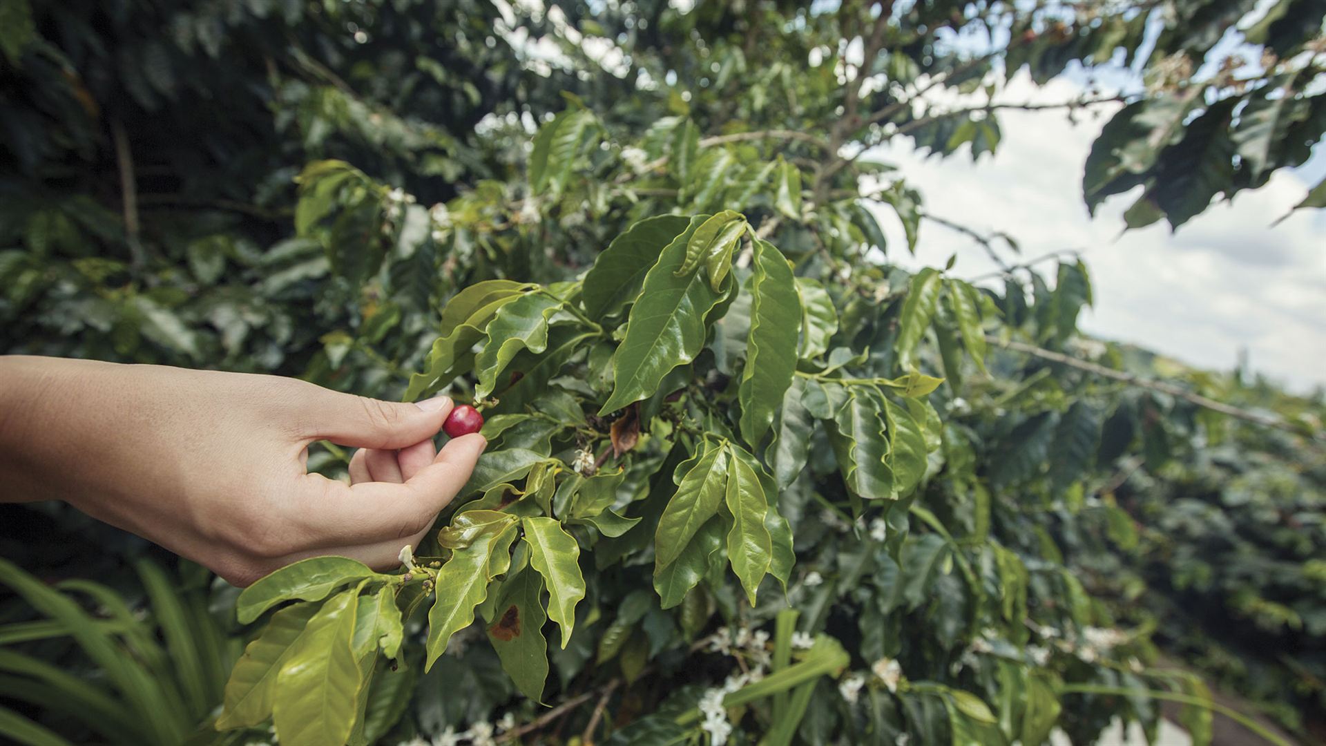 Journeys: Explore Colombia