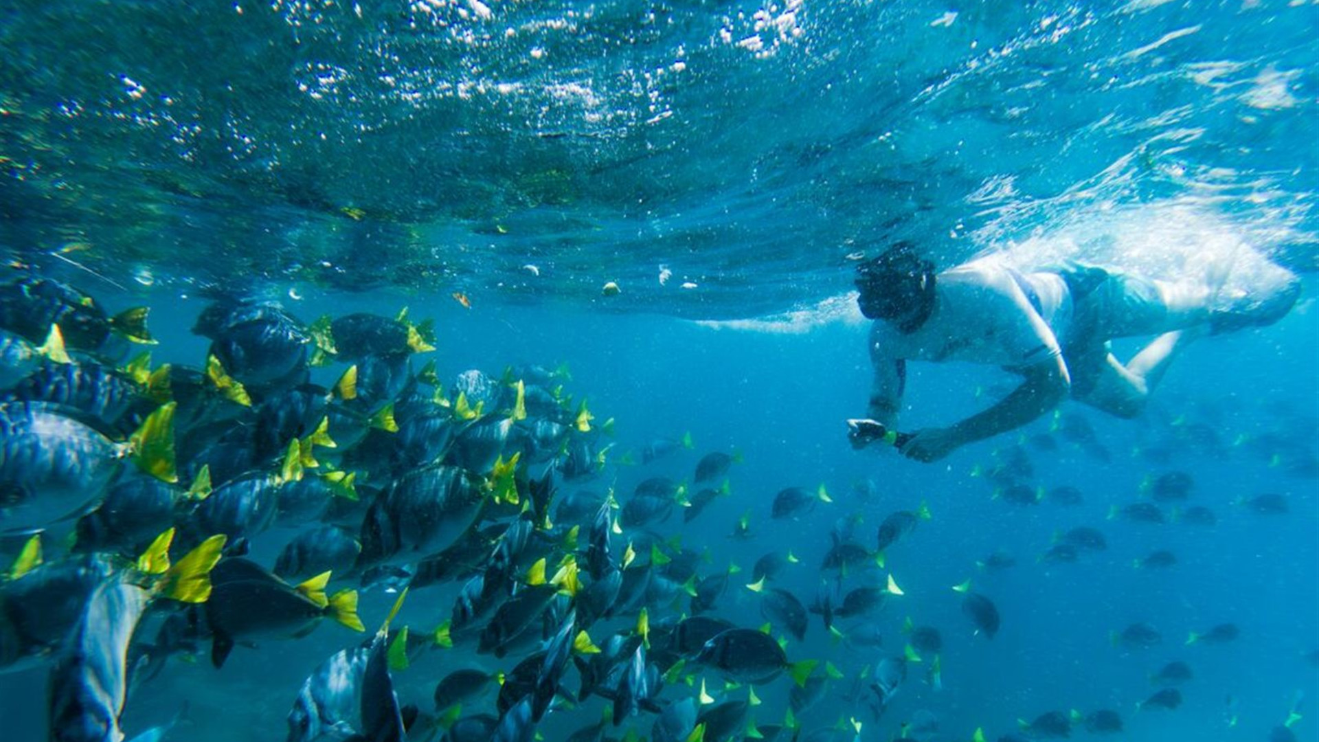 Galapagos Cruise & Peru’s Land of the Incas (Grand Daphne)