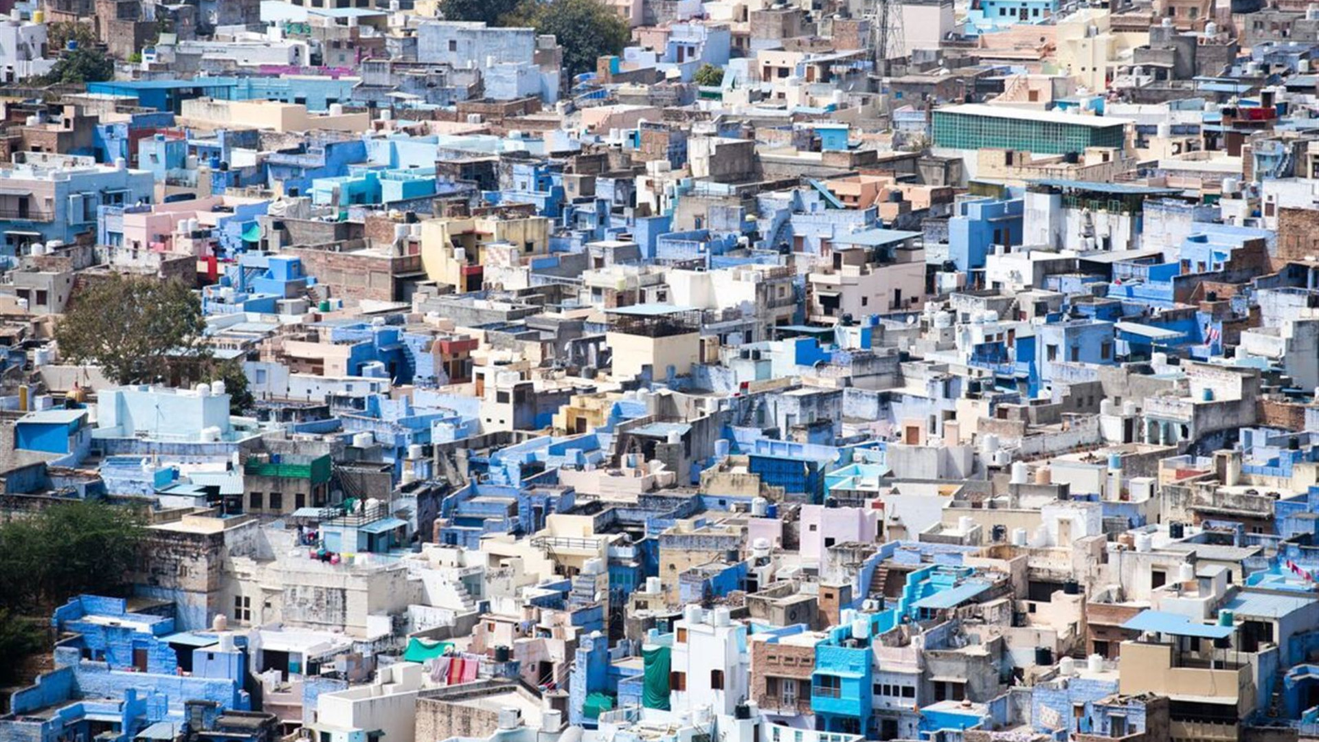 18 to 35s Real Rajasthan