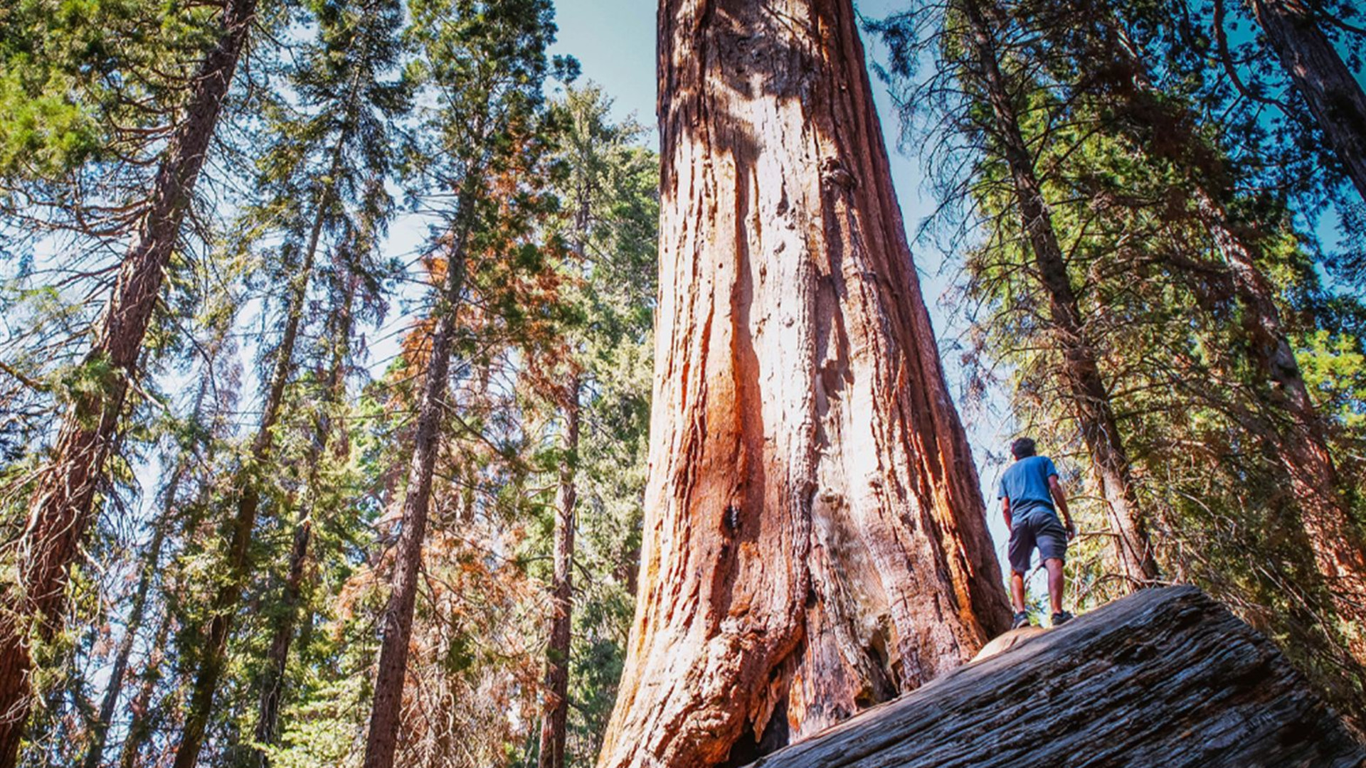 Pacific Northwest & California