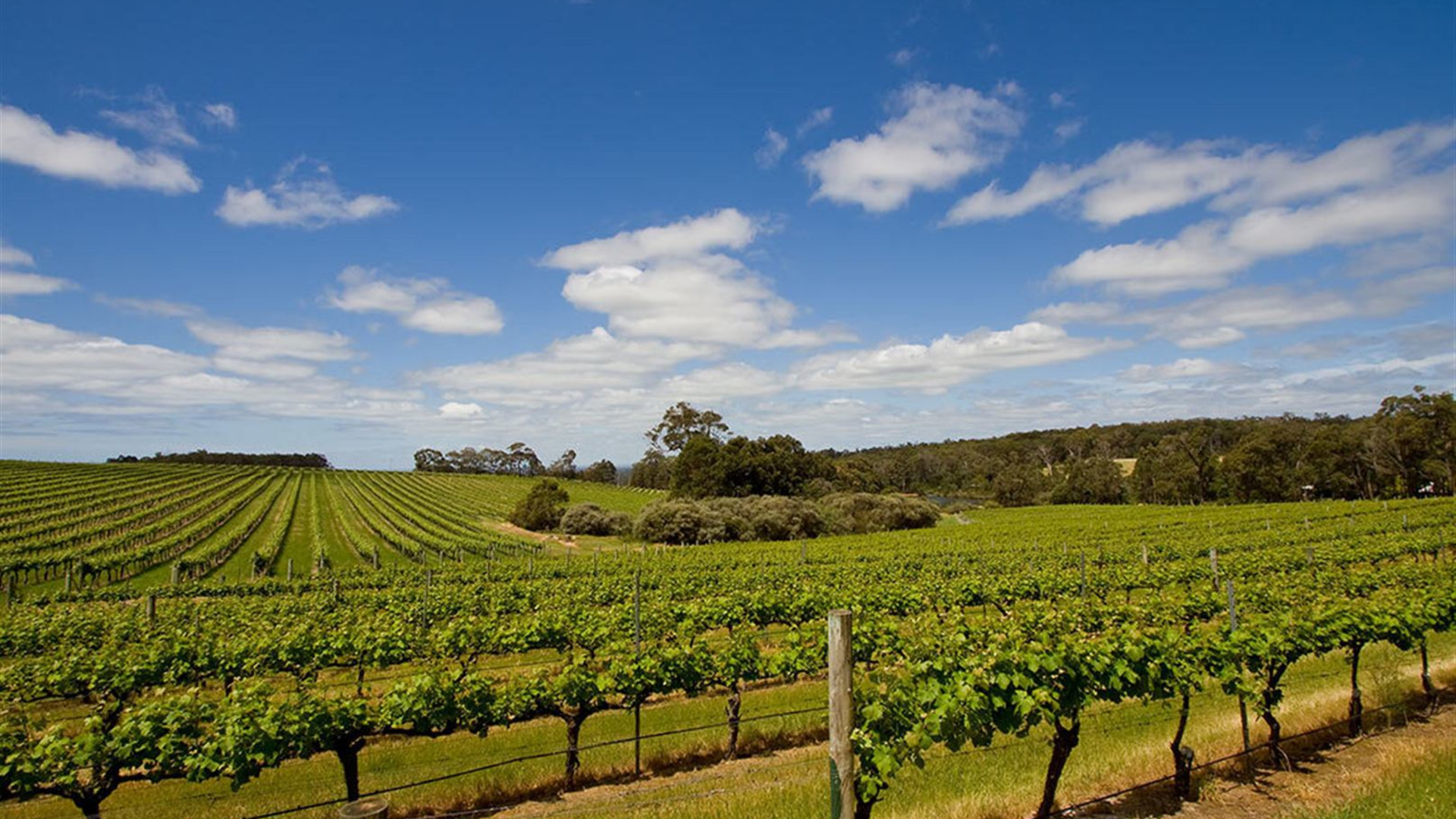 Best of Perth, Margaret River & Rottnest Island