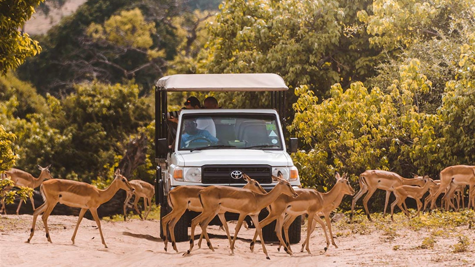 Amazing Southern Africa