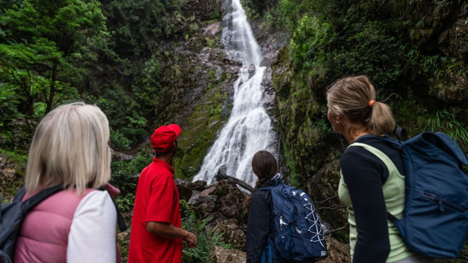 Walk Tasmania's Tarkine & Cradle Mountain
