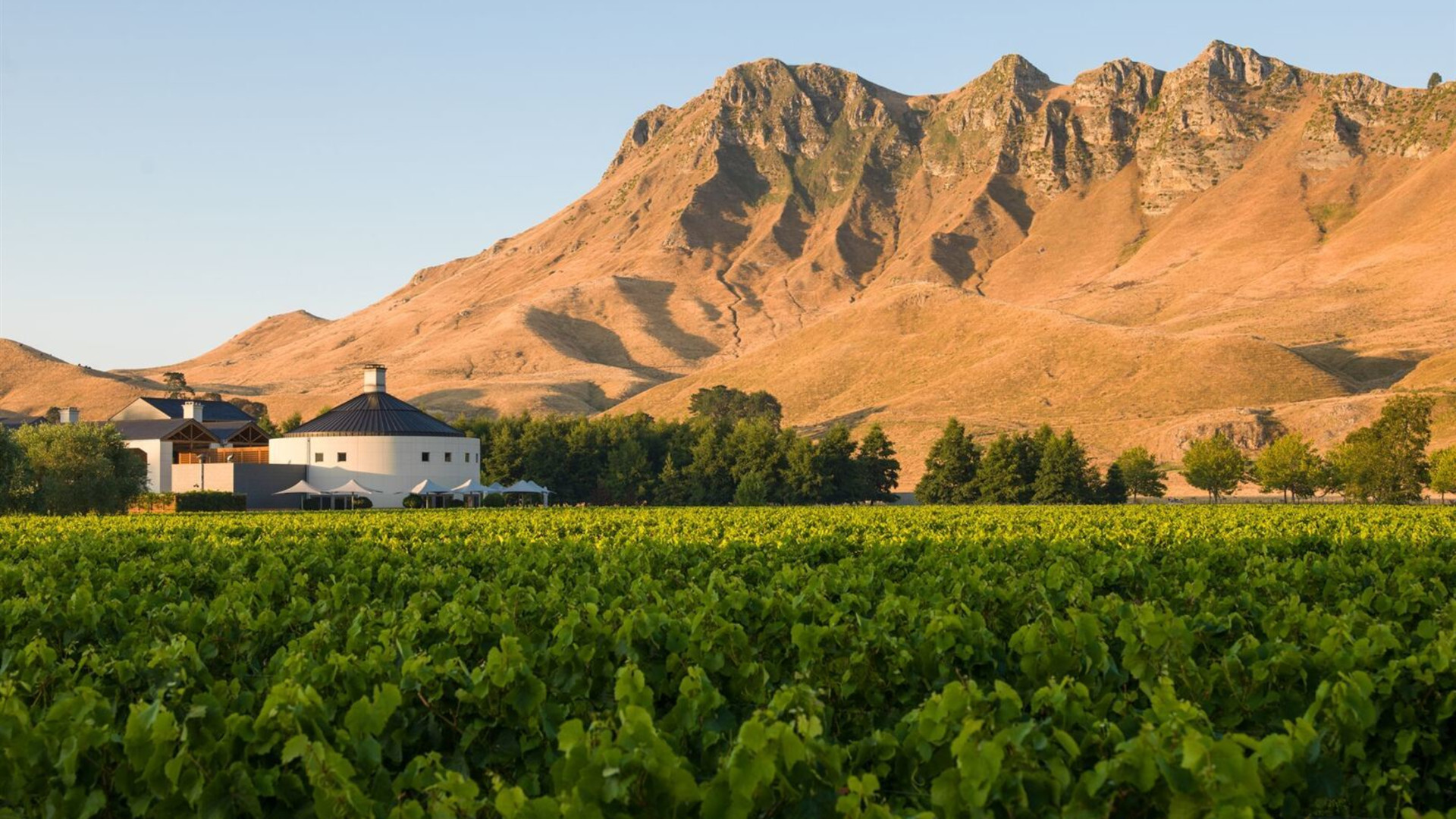 Premium New Zealand North Island