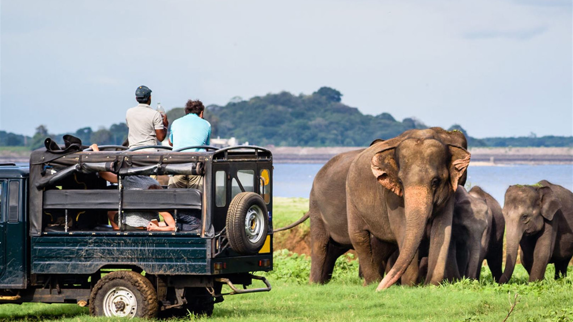 Premium Sri Lanka 