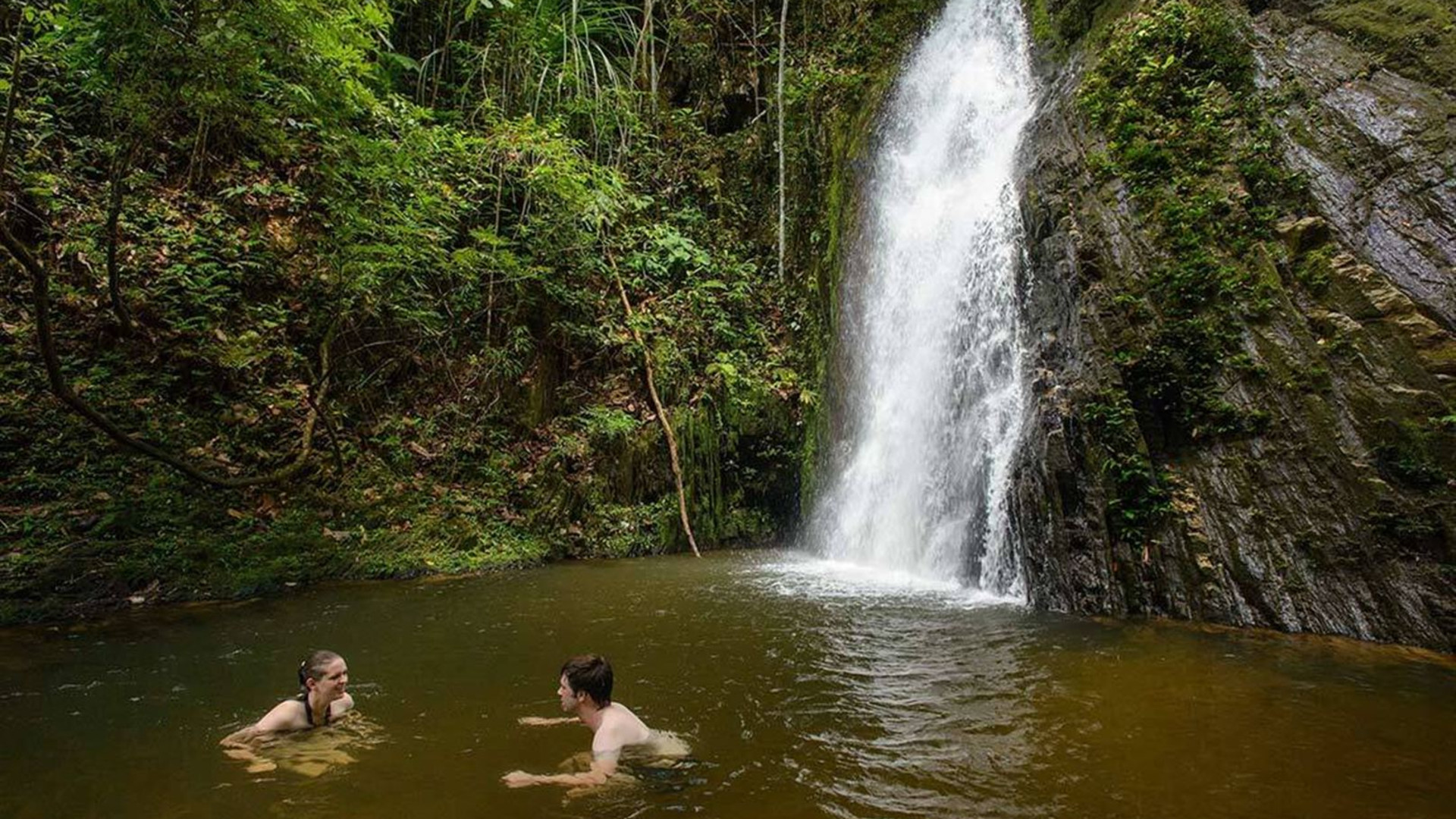 Premium Borneo in Depth