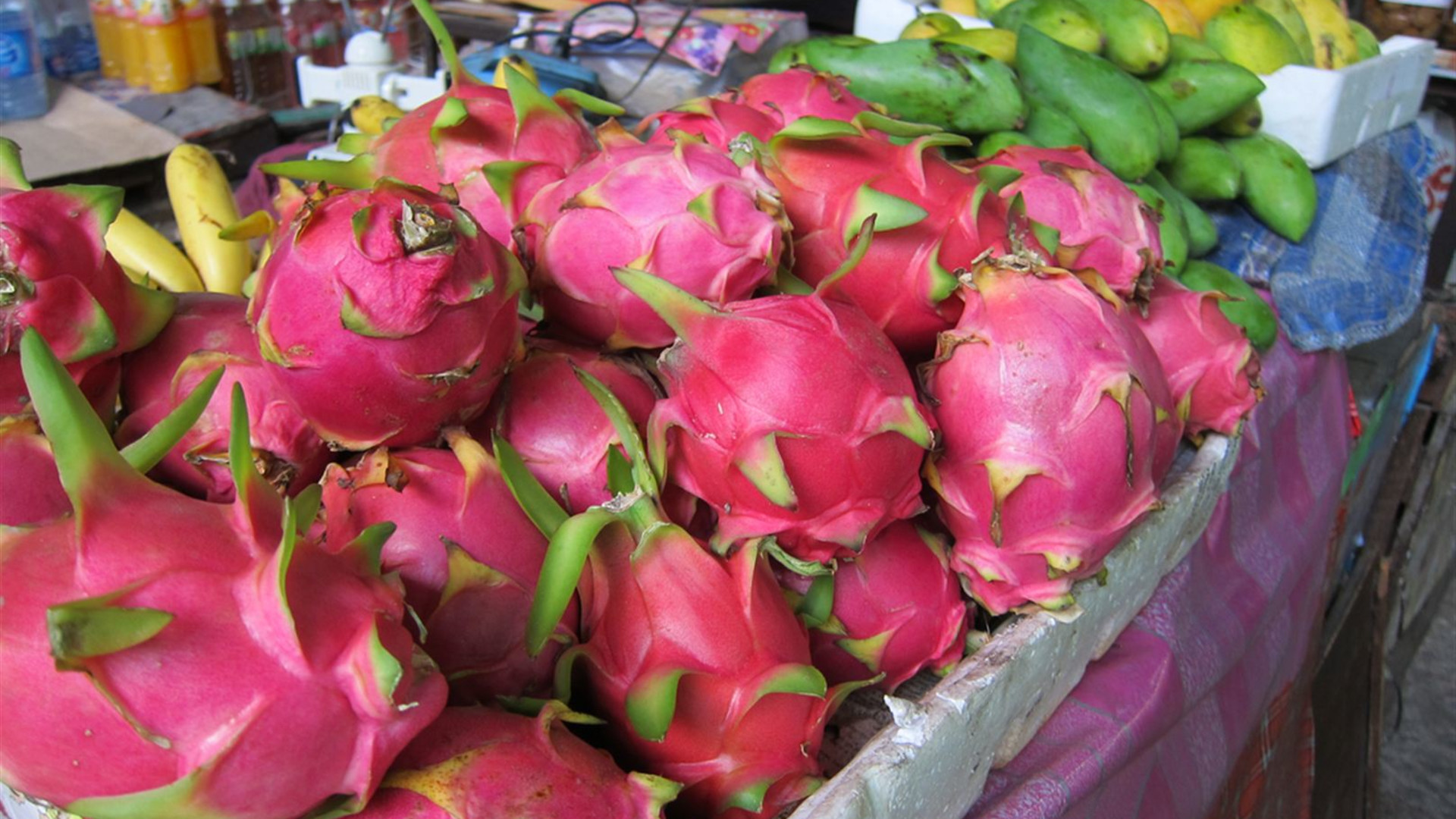 Highlights of Thailand