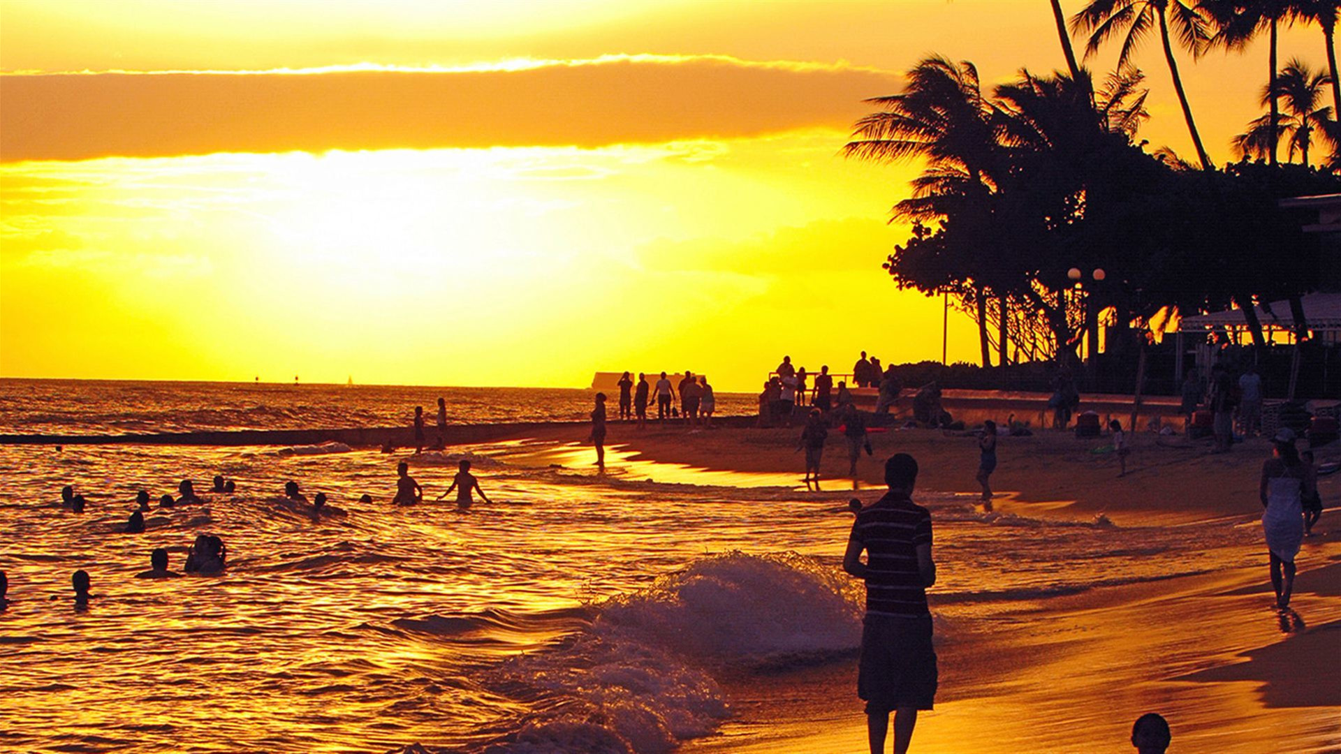 Hawaiian Adventure