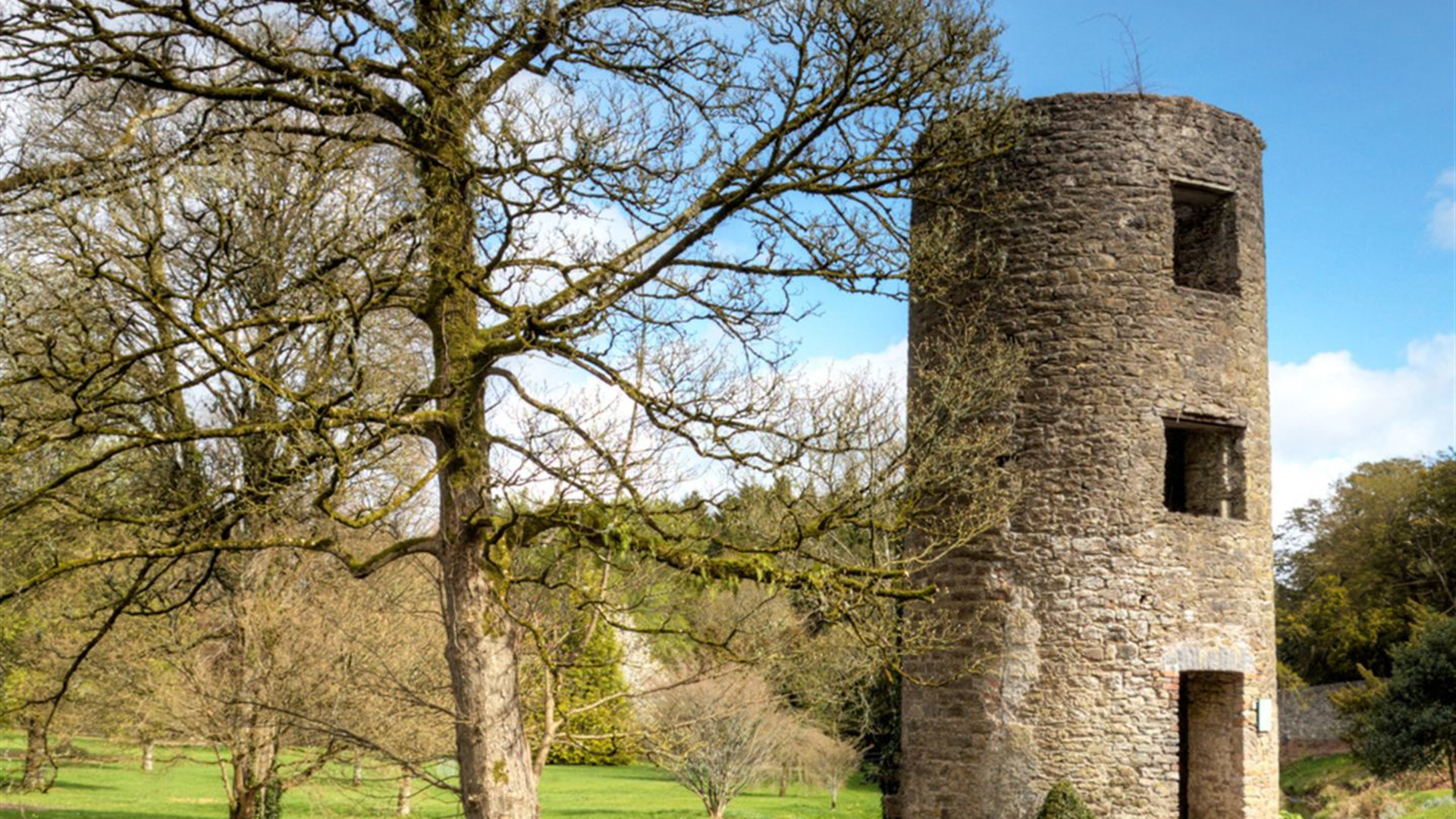 Irland: Wanderungen an der Küste, auf der Beara-Halbinsel und im Killarney-Nationalpark