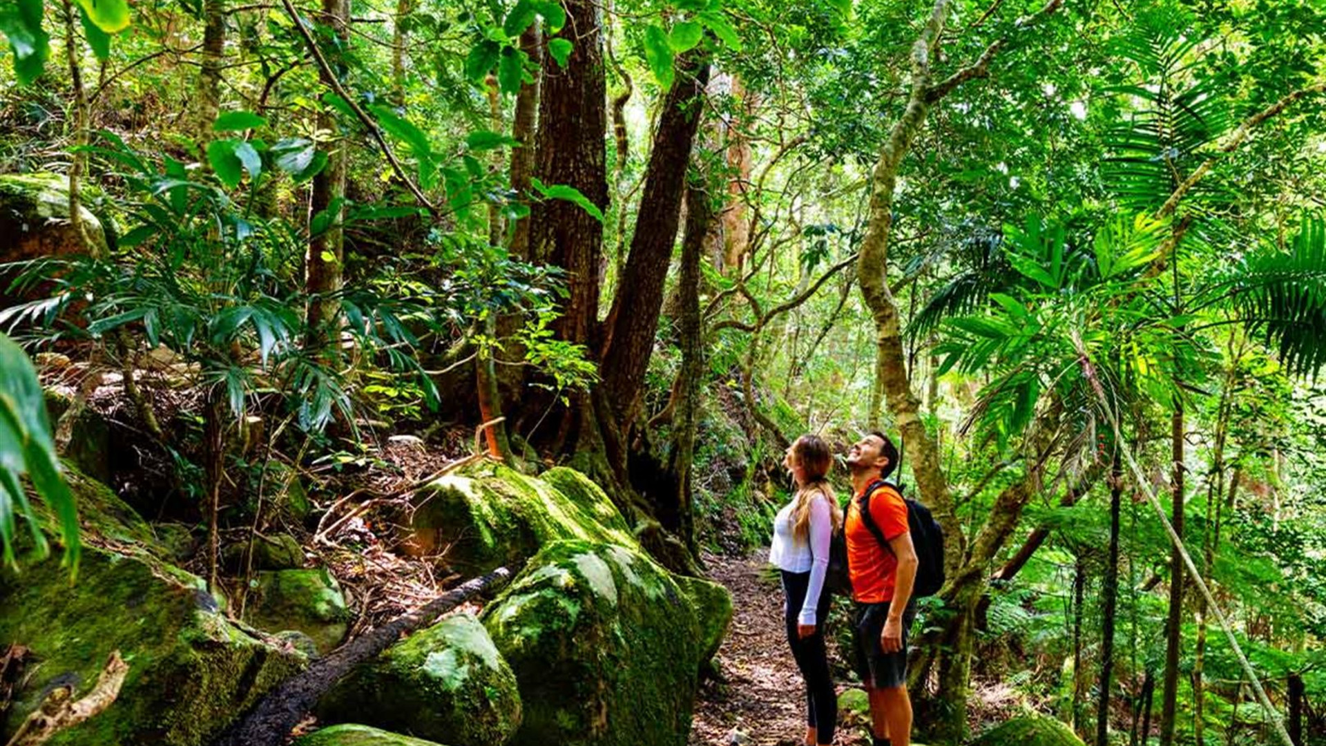 Hike Queensland's Scenic Rim Trail