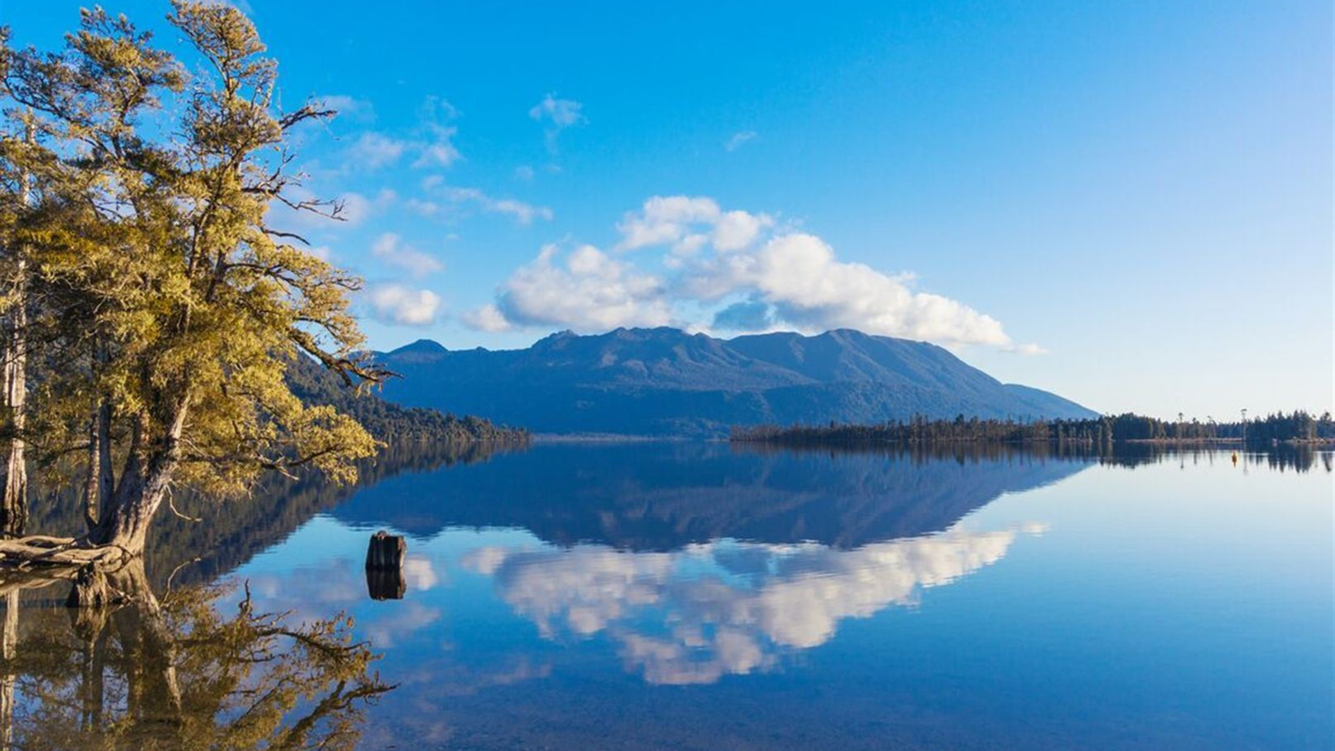 Premium New Zealand Encompassed