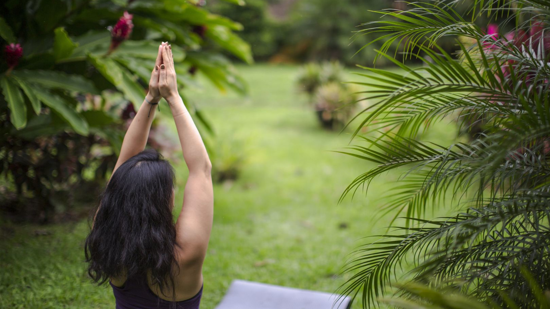 Wellness Costa Rica