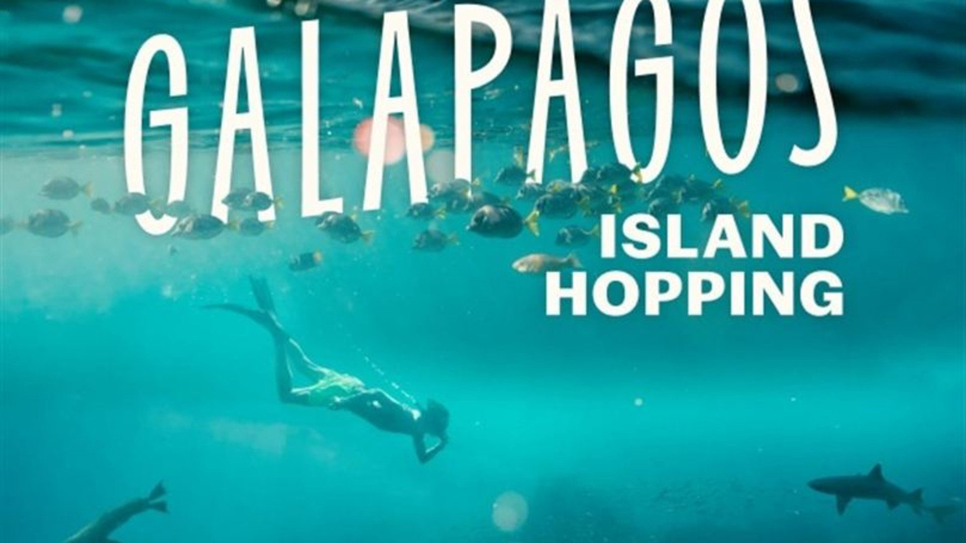 Galapagos Island Hopping