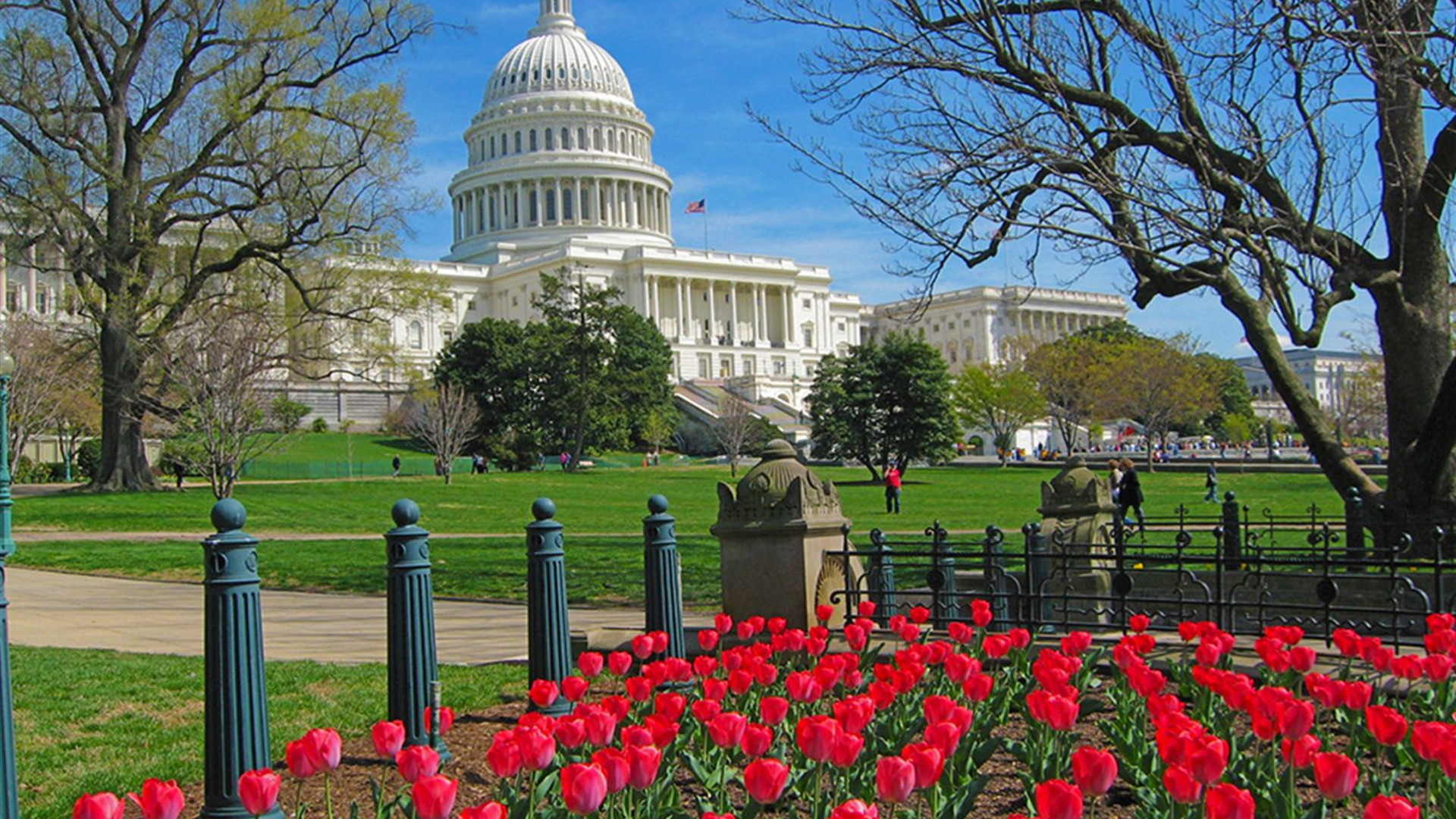 Spotlight on Washington, D.C.