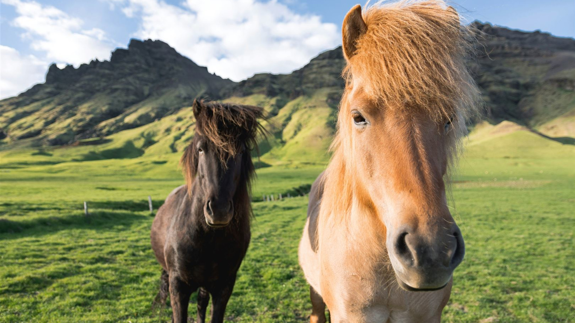 Best of Iceland