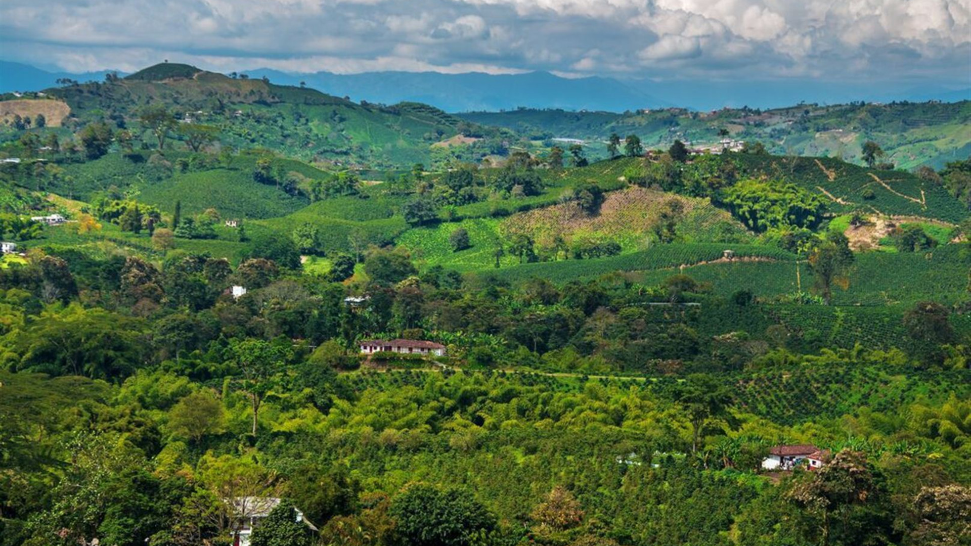 Colombia Adventure & Lost City Trek