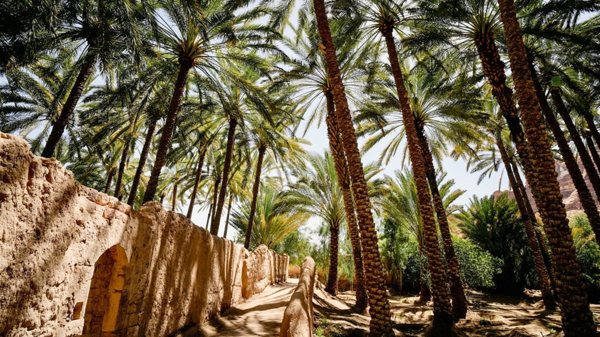 Saudi Arabia Highlights