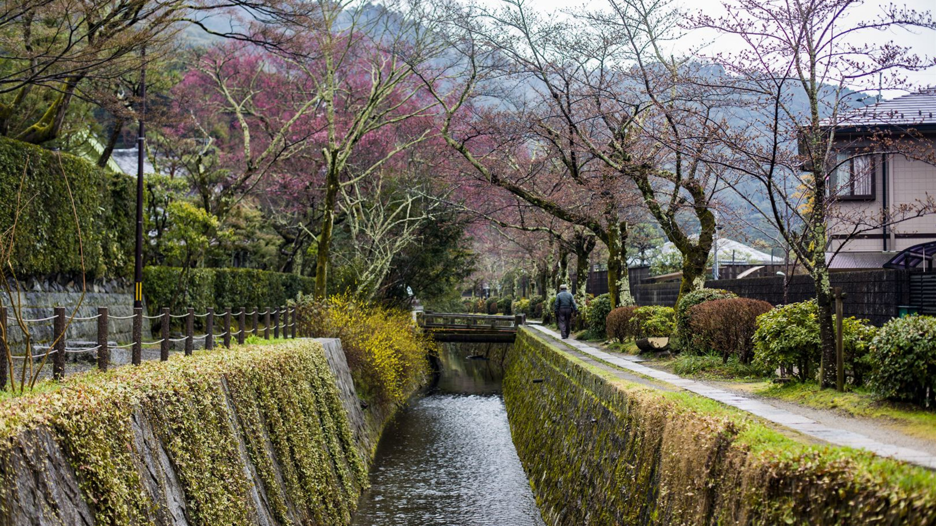 Korea & Japan Encompassed