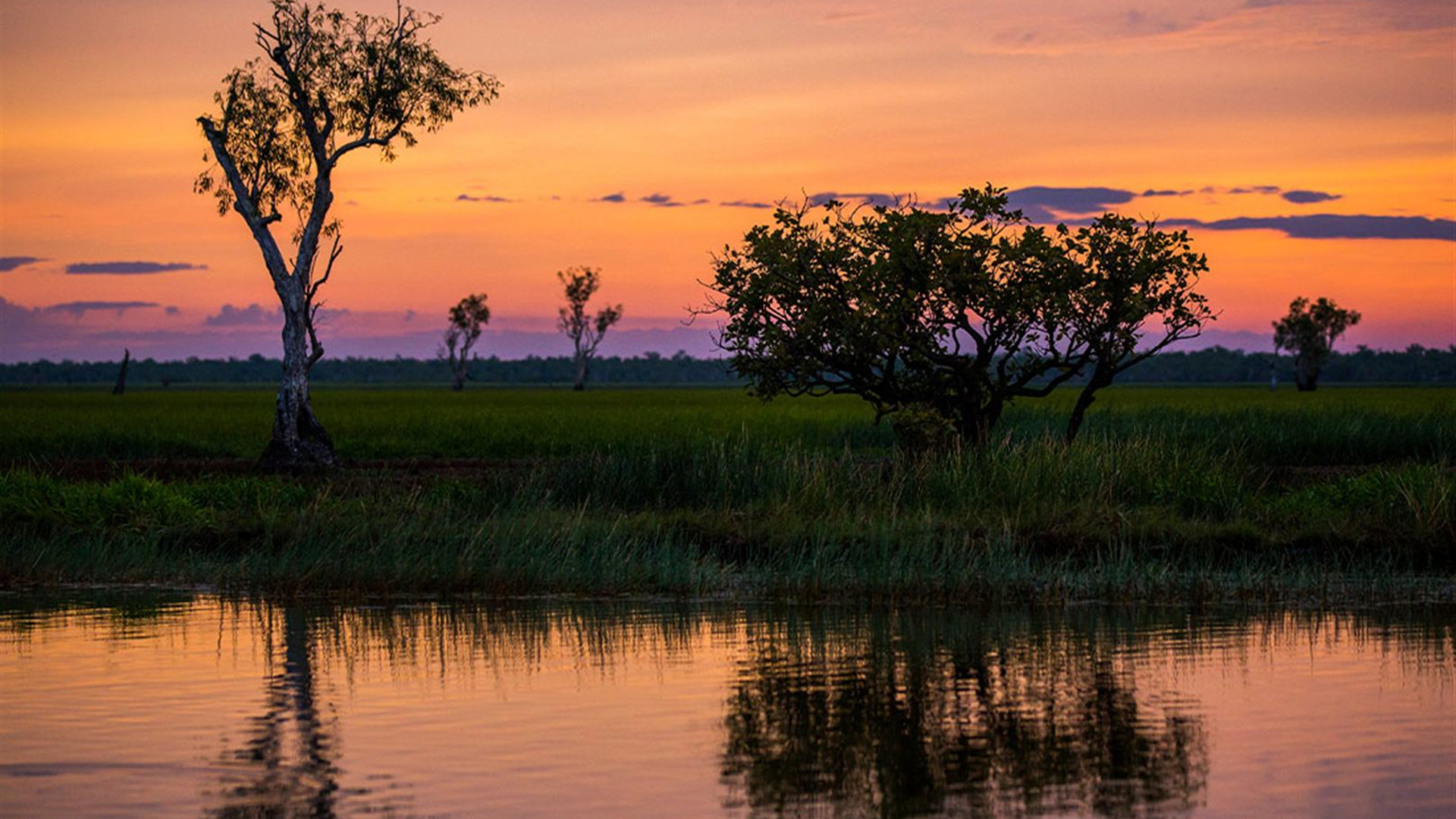 Kakadu, Katherine & Litchfield Explorer