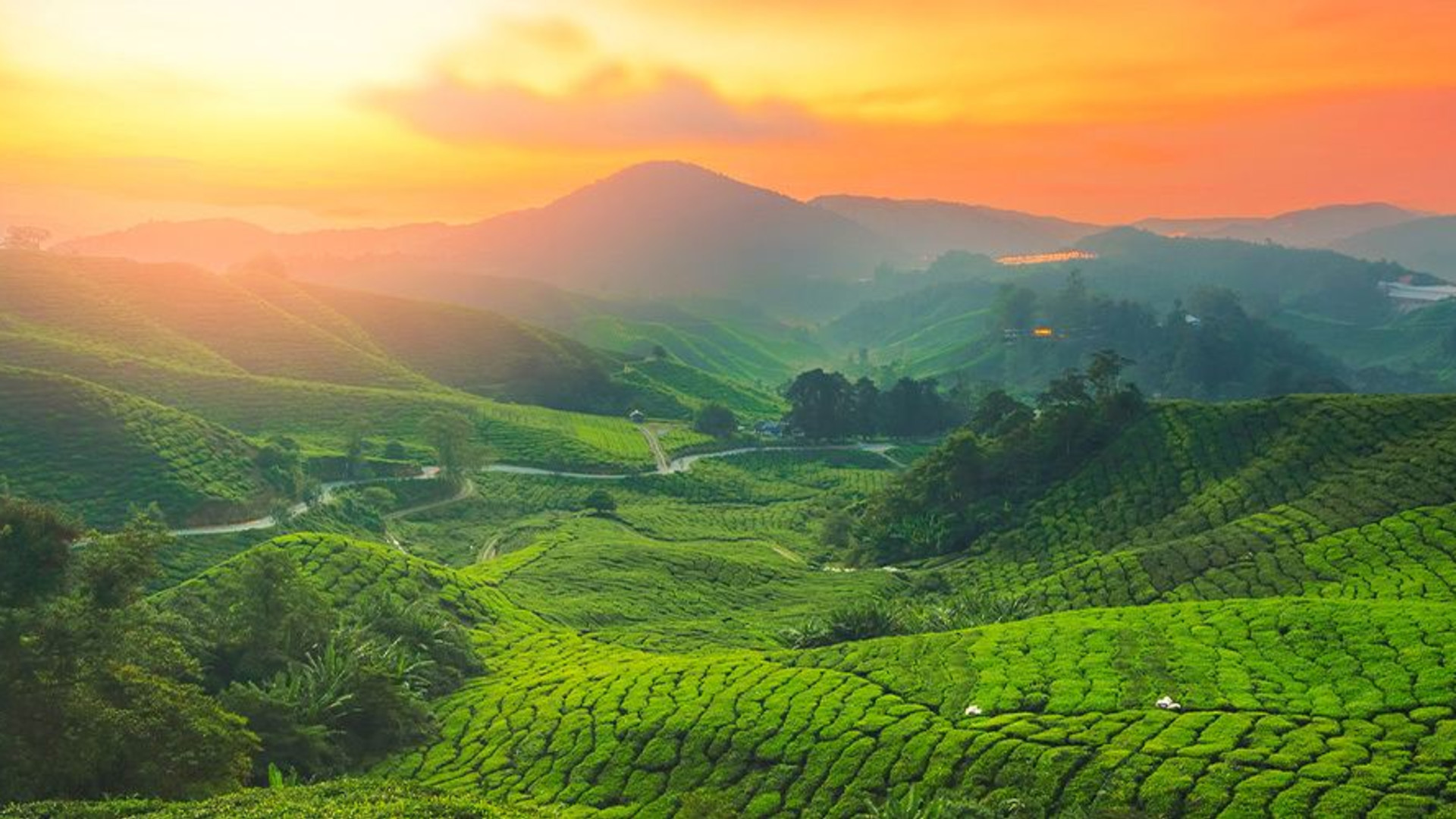 Malaysia Highlights