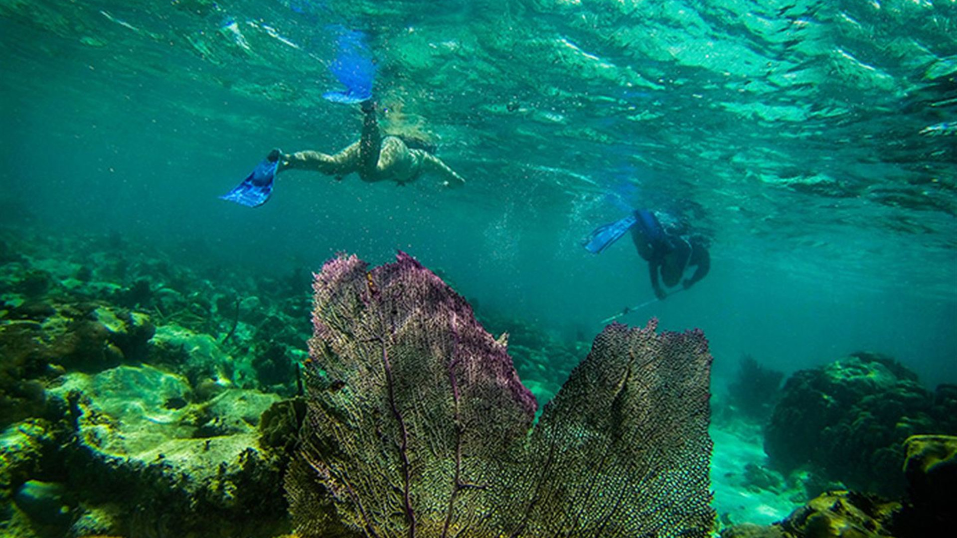 Belize im Alleingang
