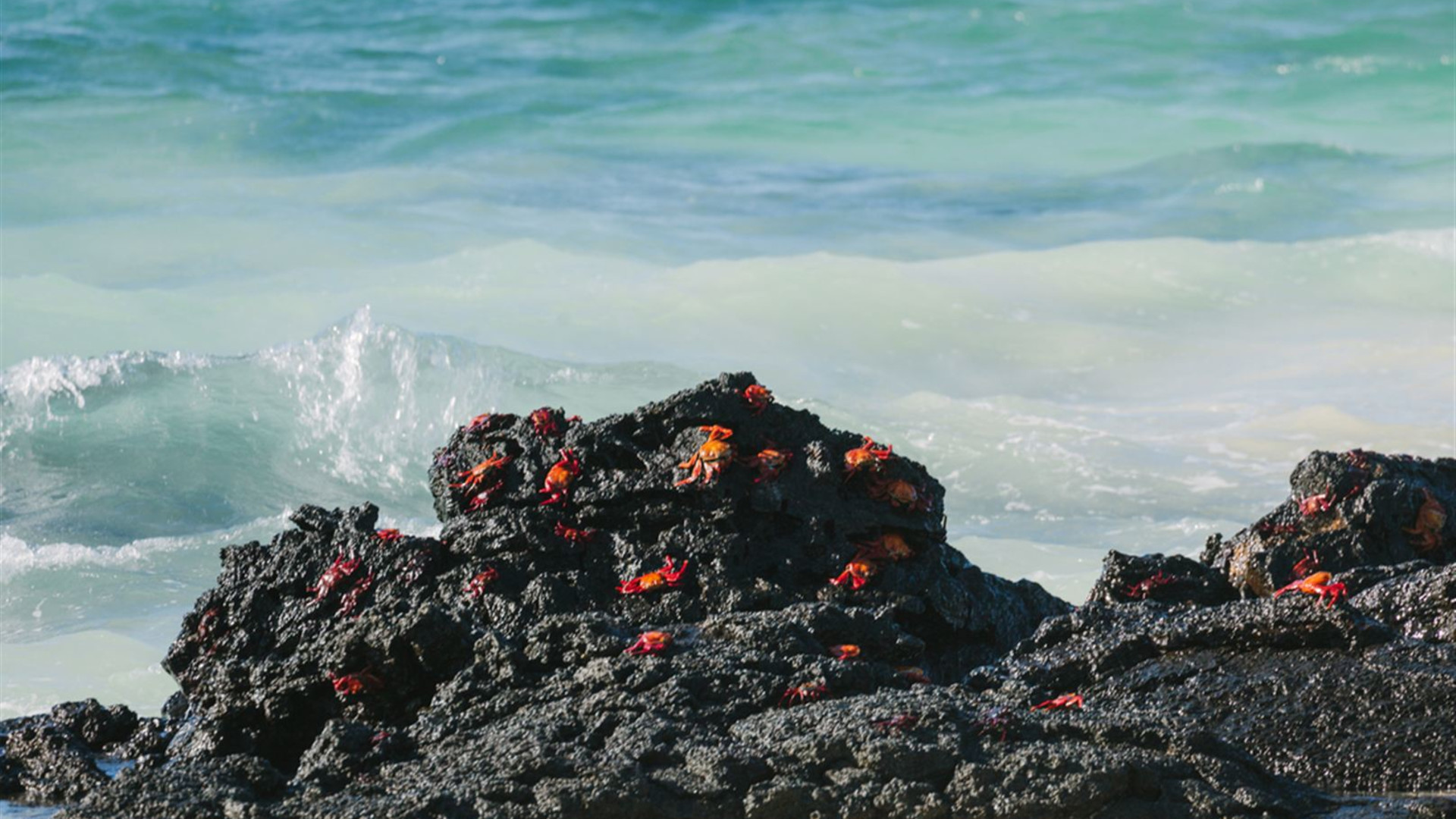 Majestic Peru & Southern Galapagos Cruise (Grand Queen Beatriz)